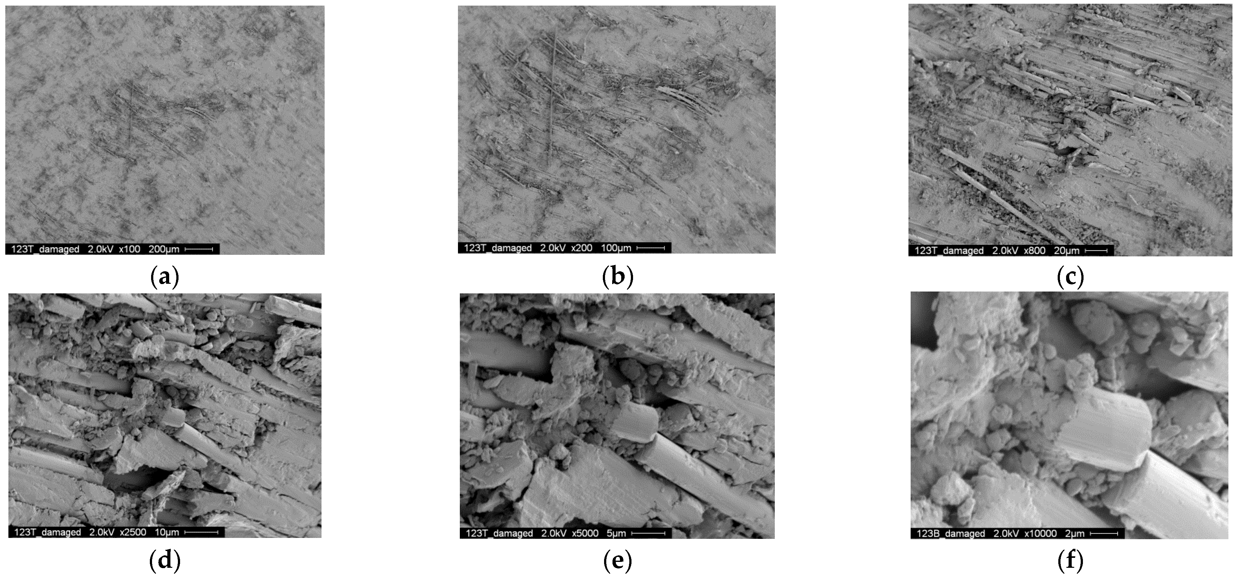Polymers 14 02129 g020