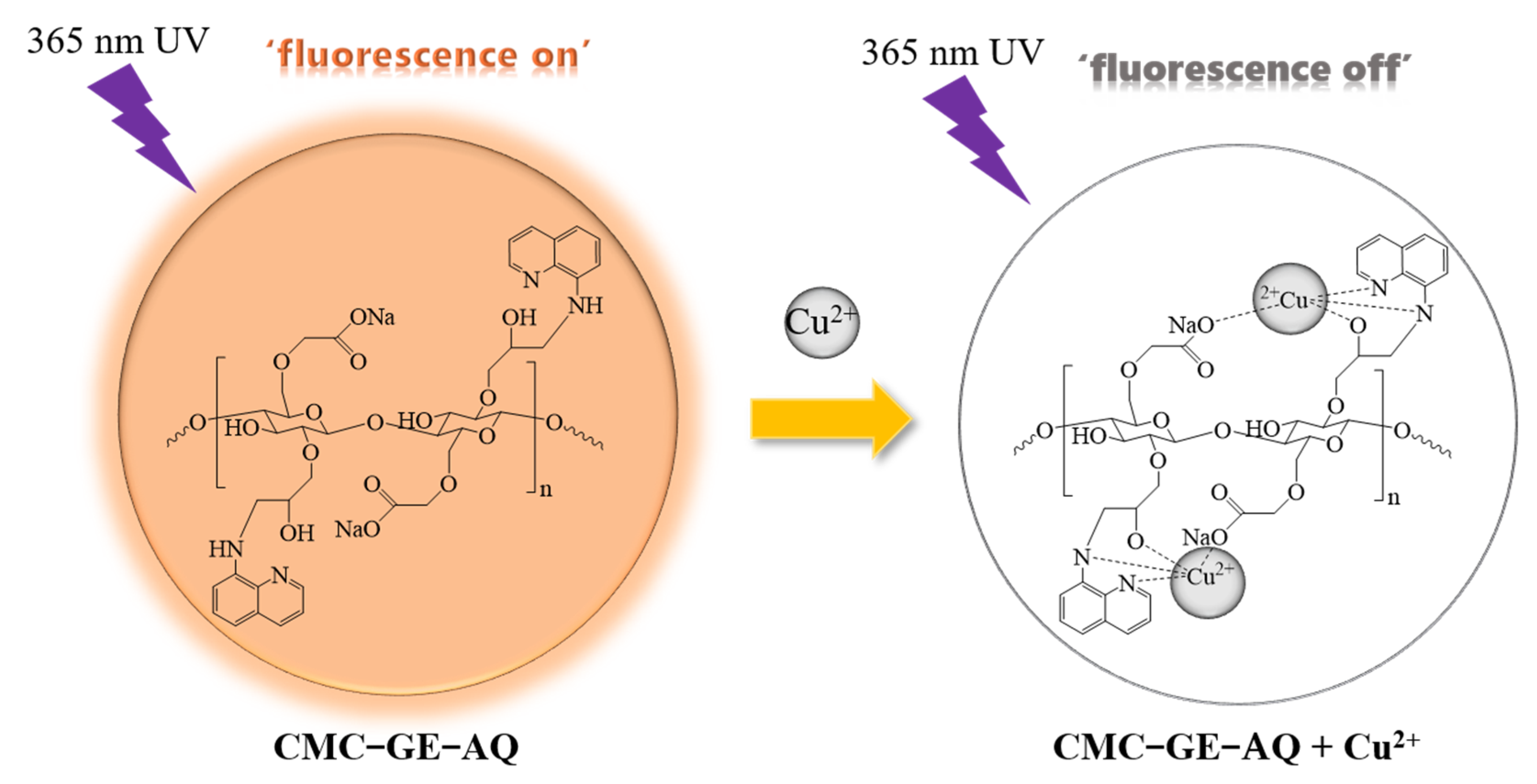 Polymers 14 02146 g012