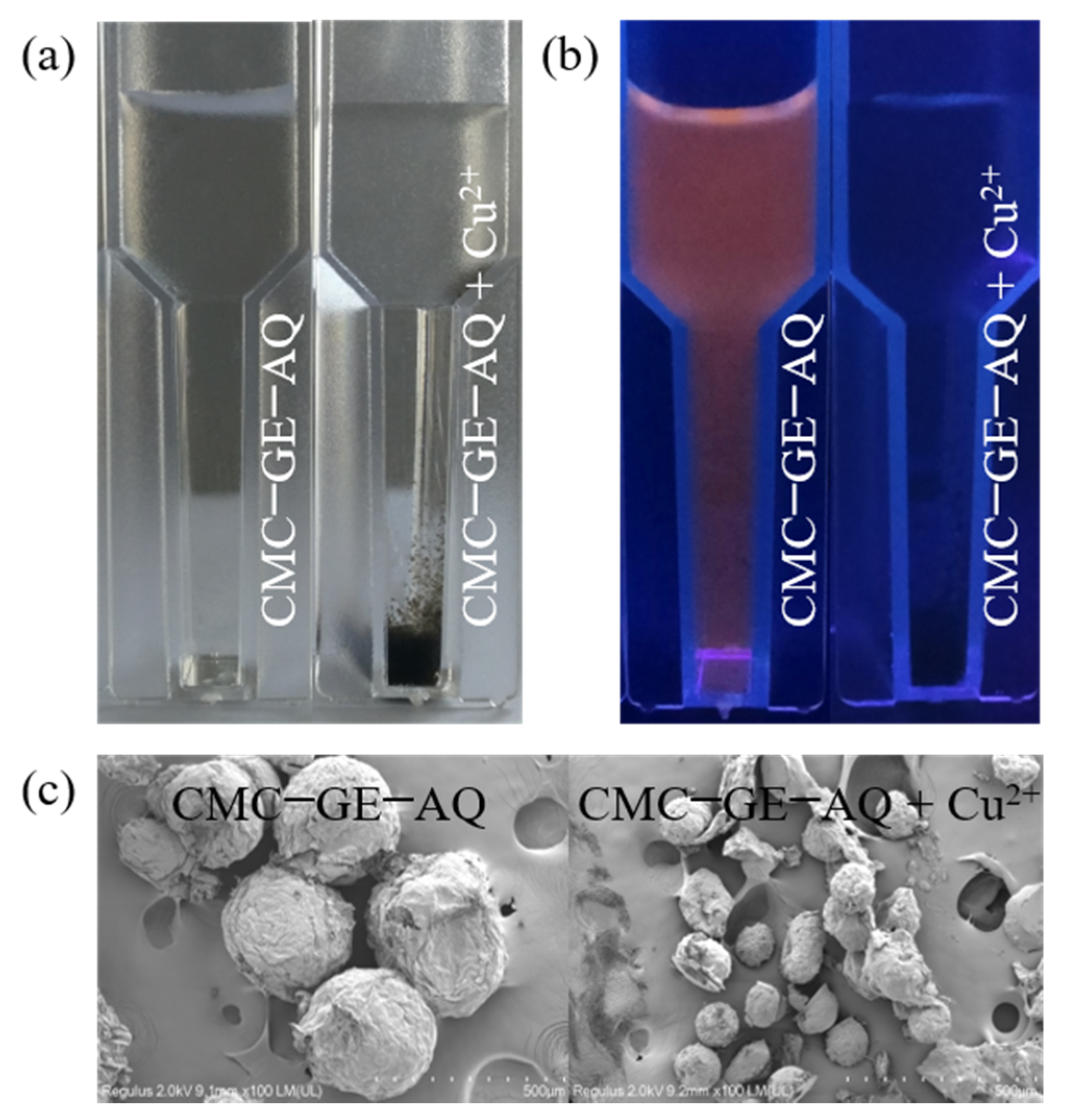 Polymers 14 02146 g014