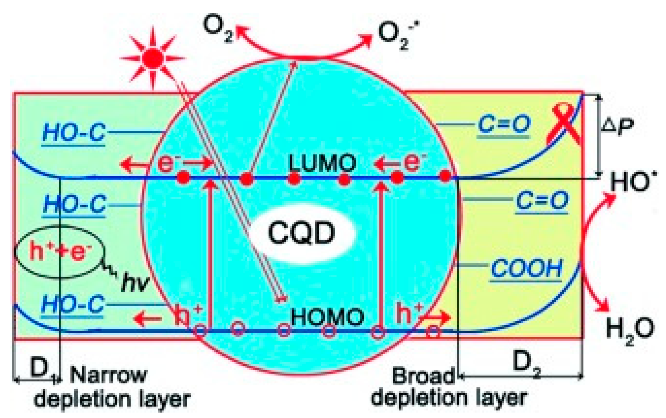 Polymers 14 02153 g006
