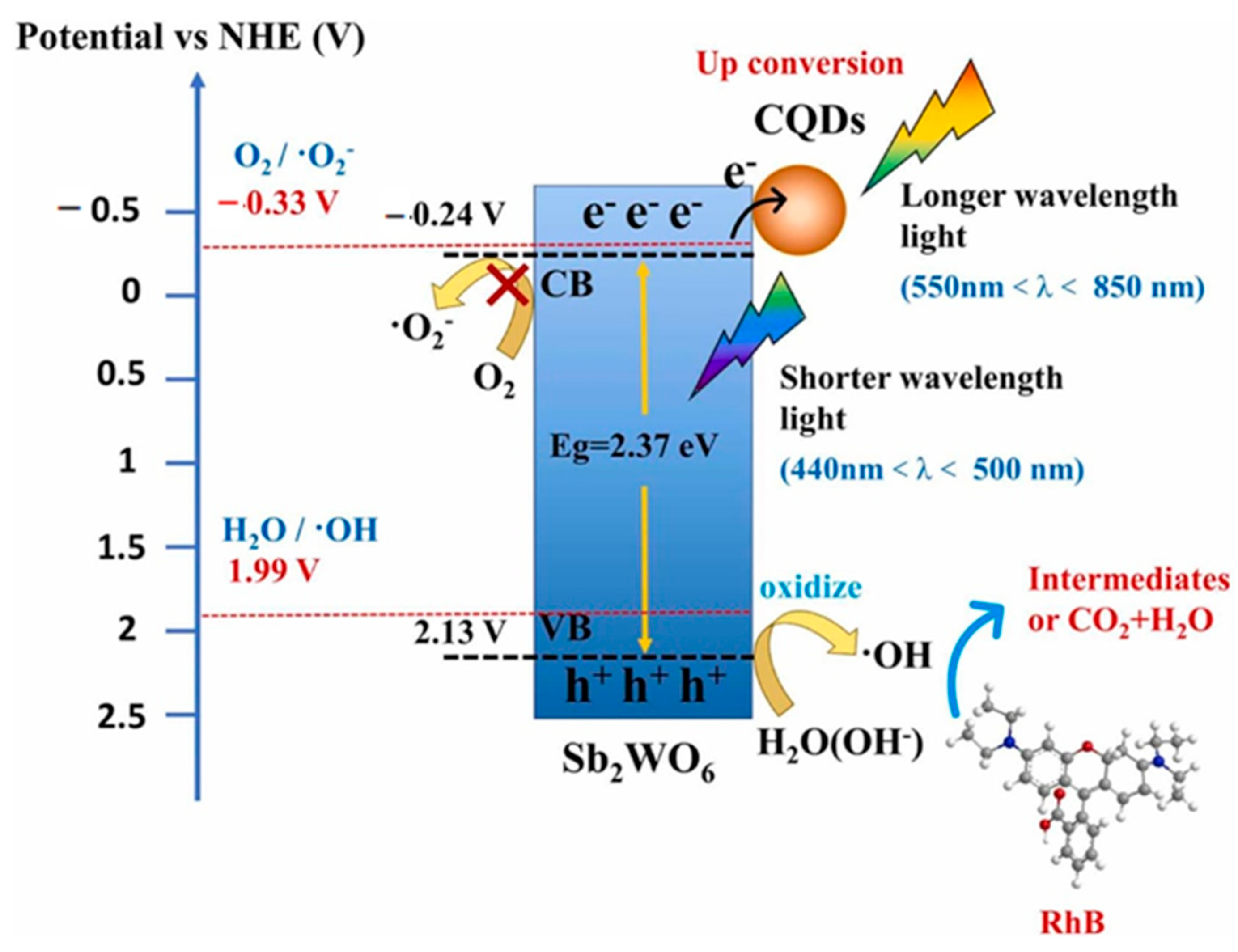 Polymers 14 02153 g008