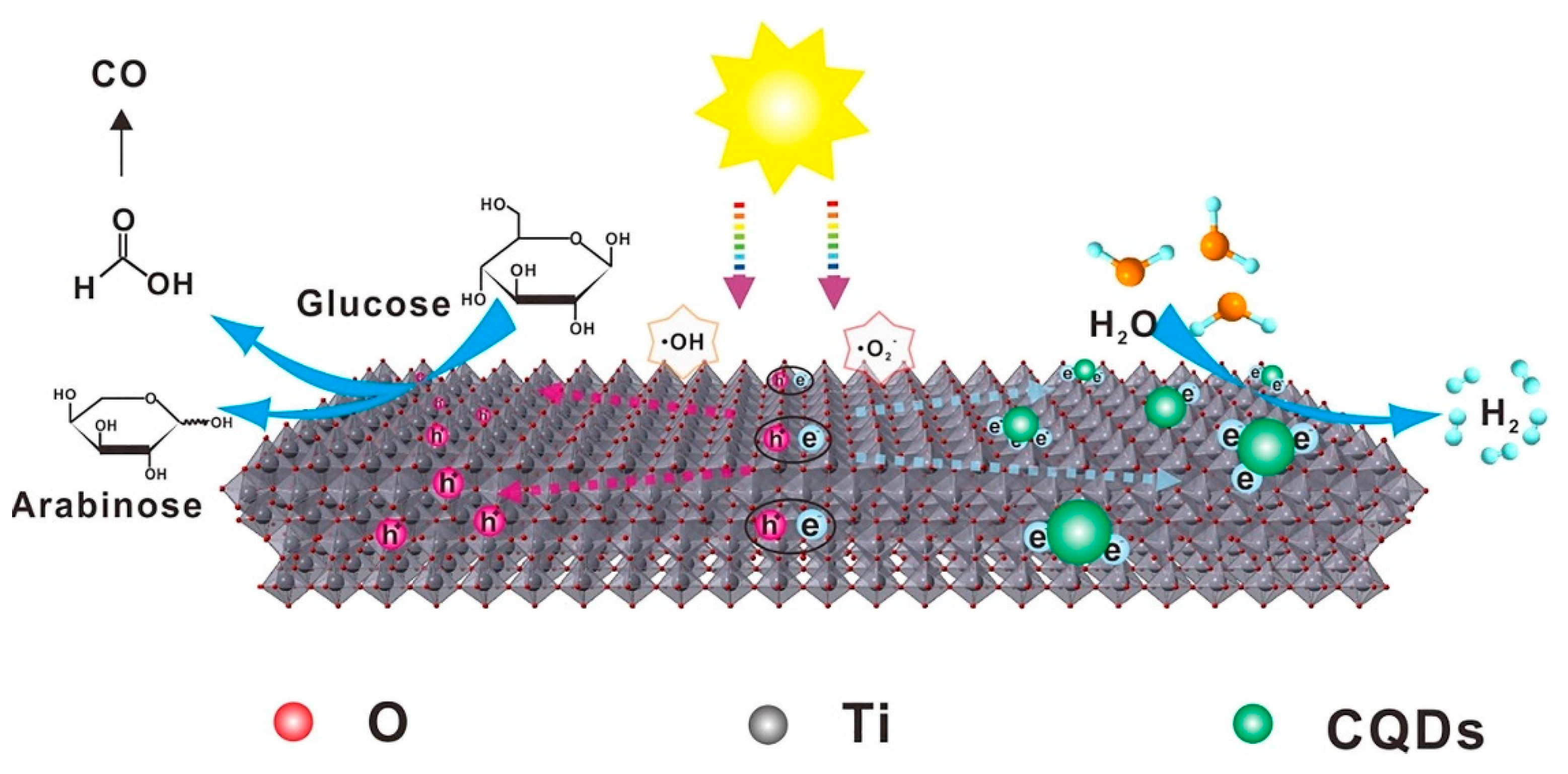 Polymers 14 02153 g011