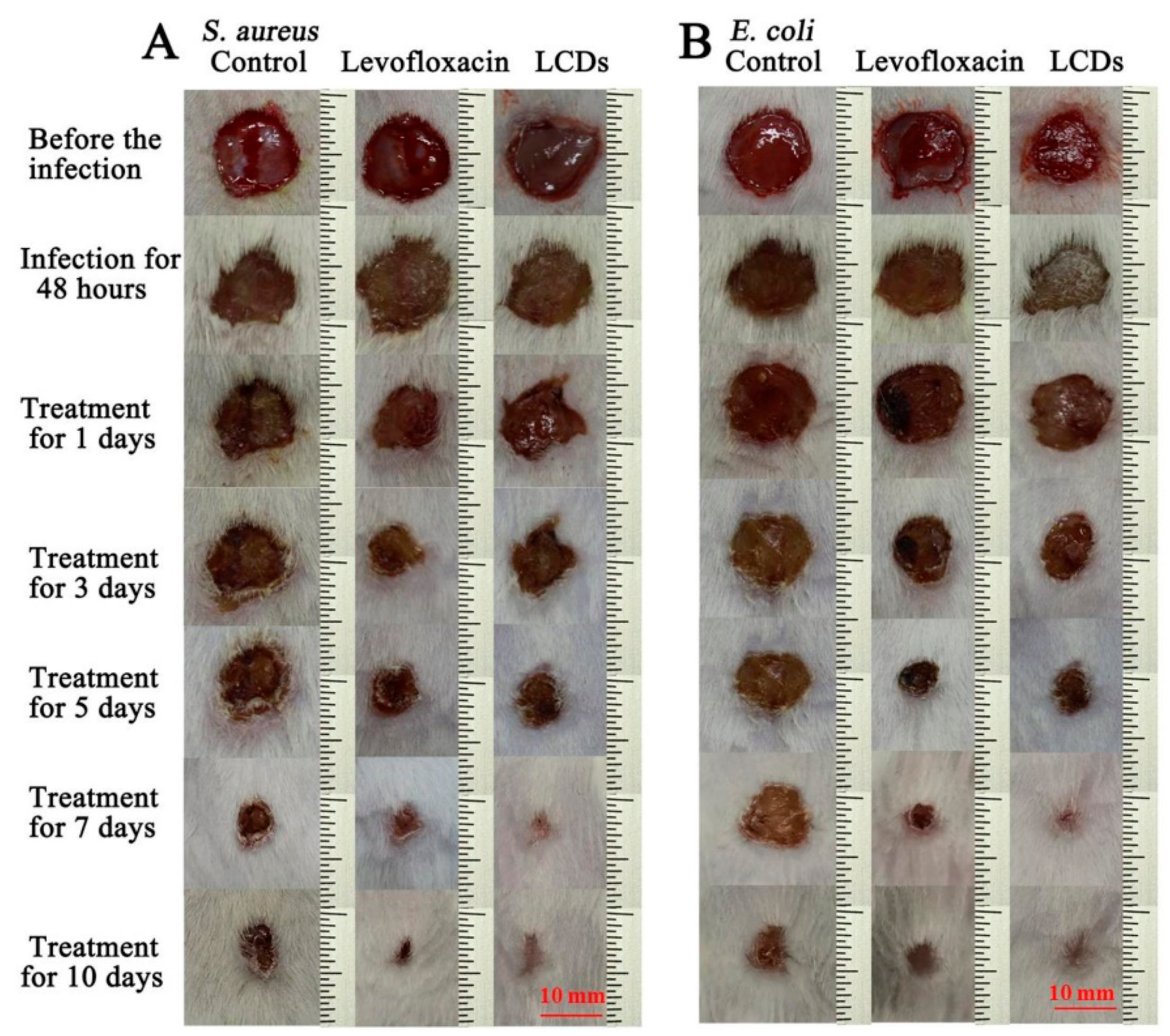 Polymers 14 02153 g012