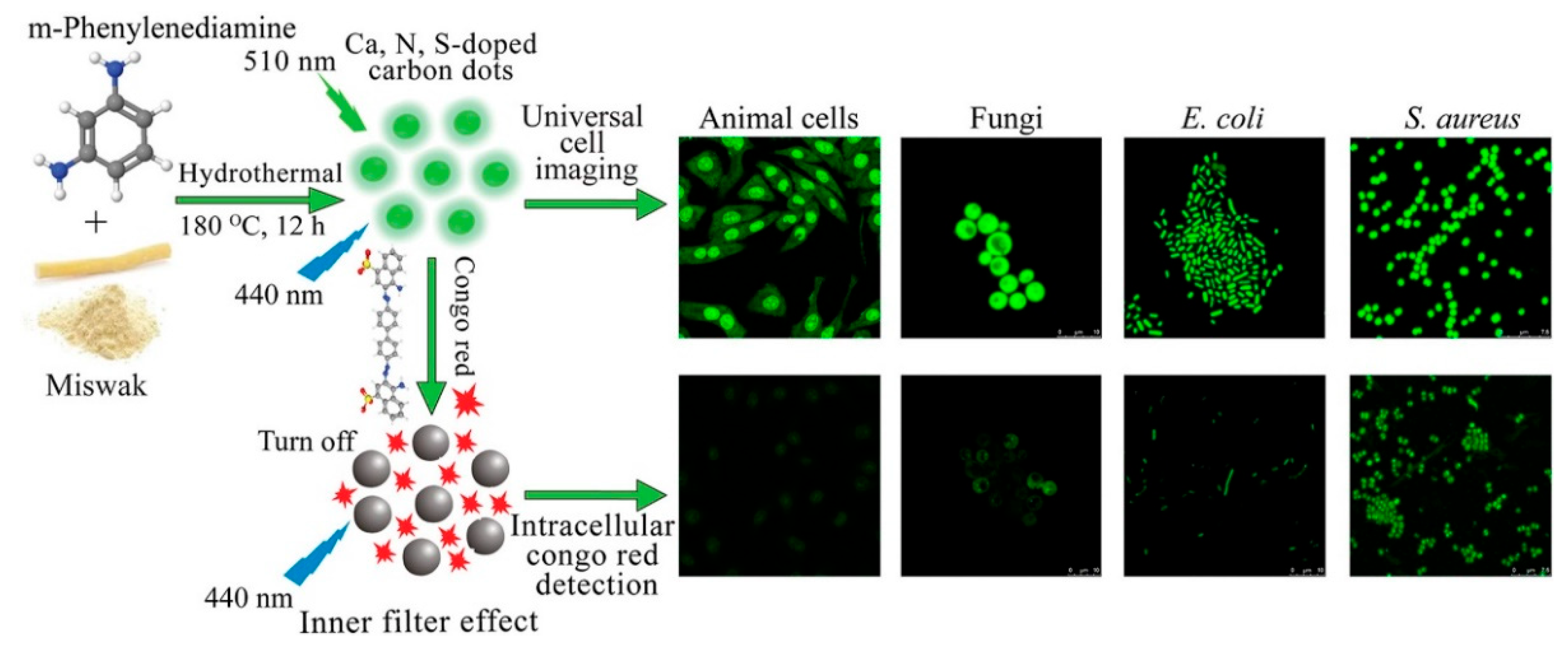 Polymers 14 02153 g013
