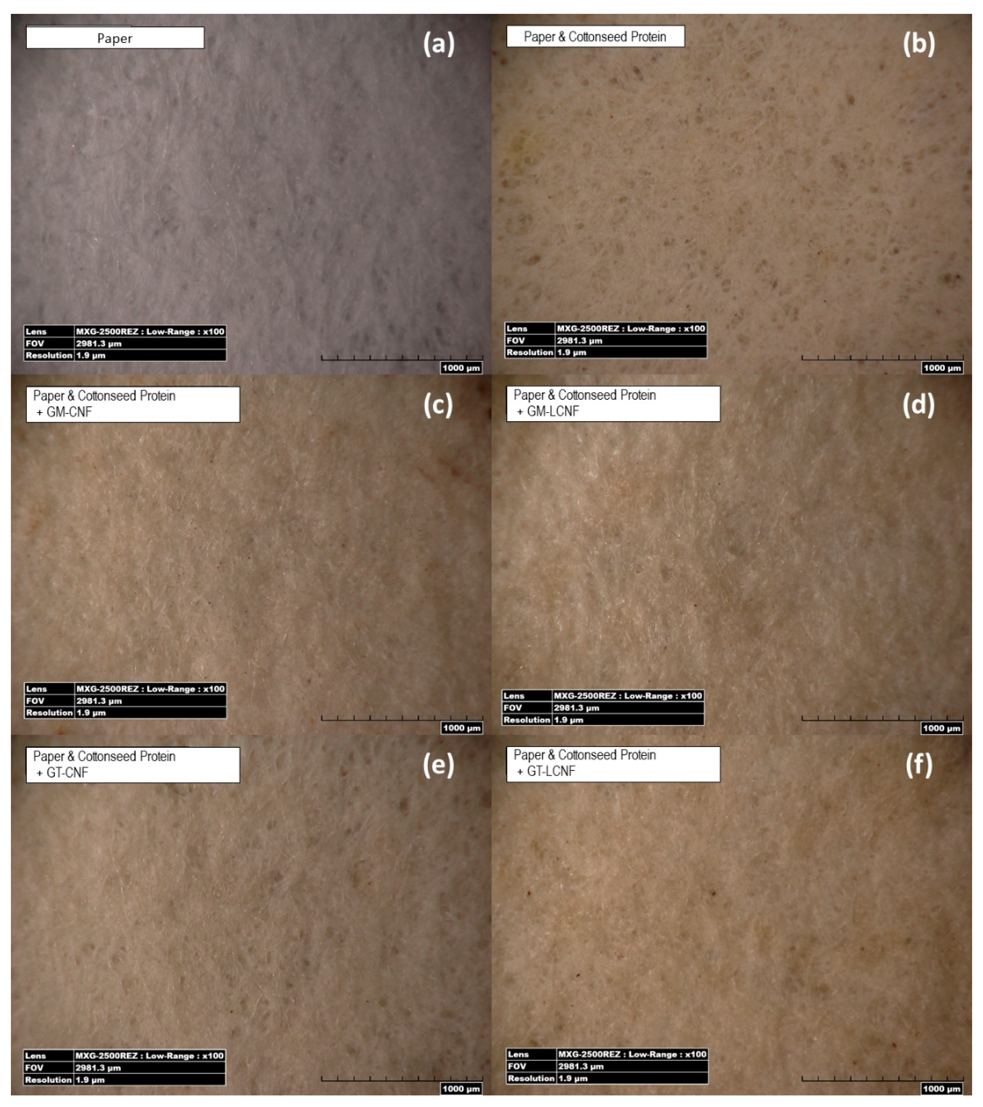 Polymers 14 02154 g002