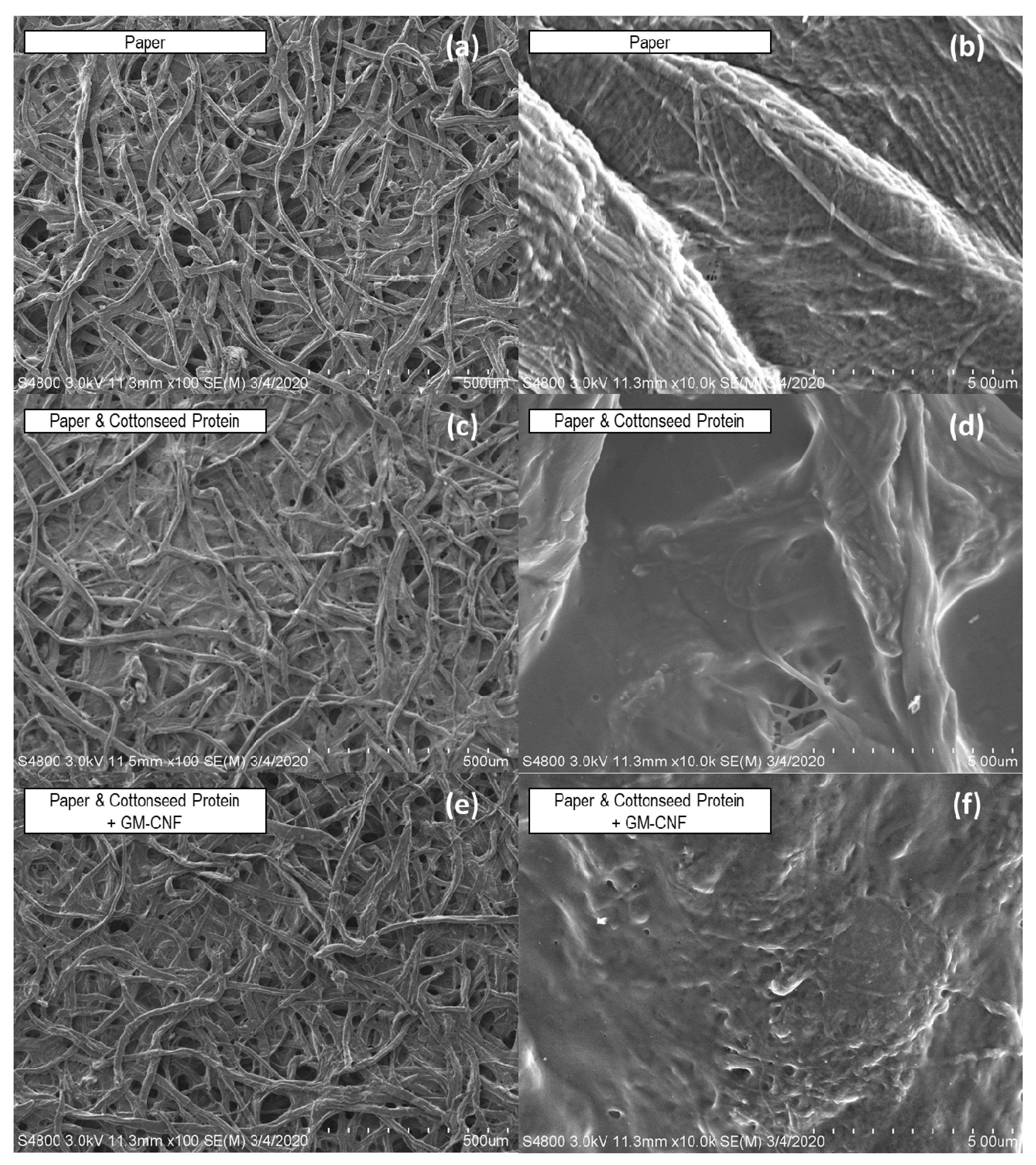Polymers 14 02154 g004