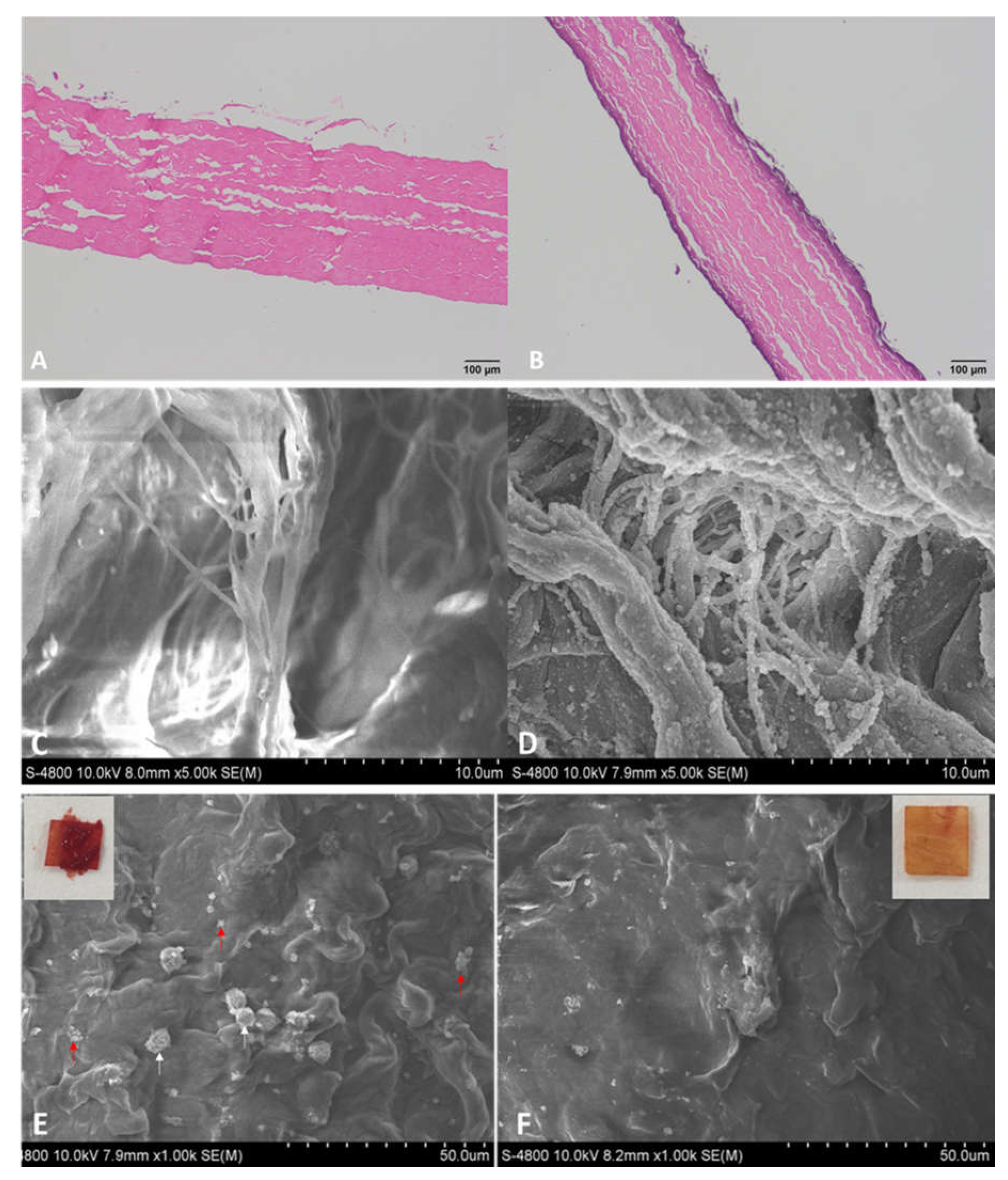 Polymers 14 02156 g002
