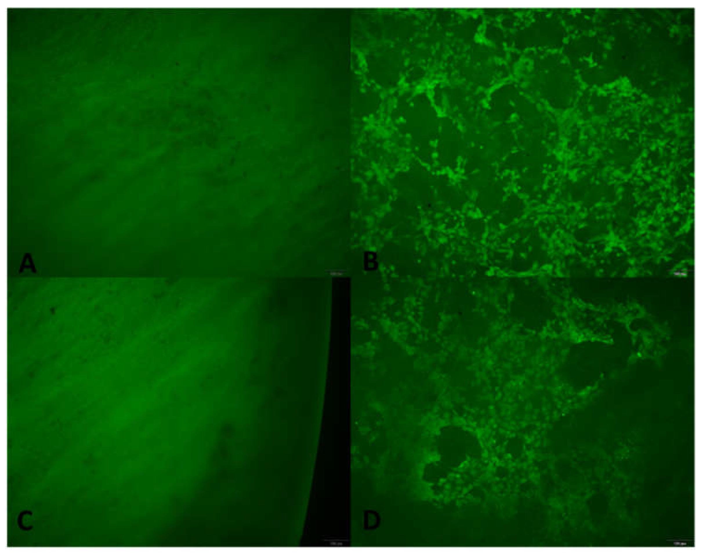 Polymers 14 02156 g004