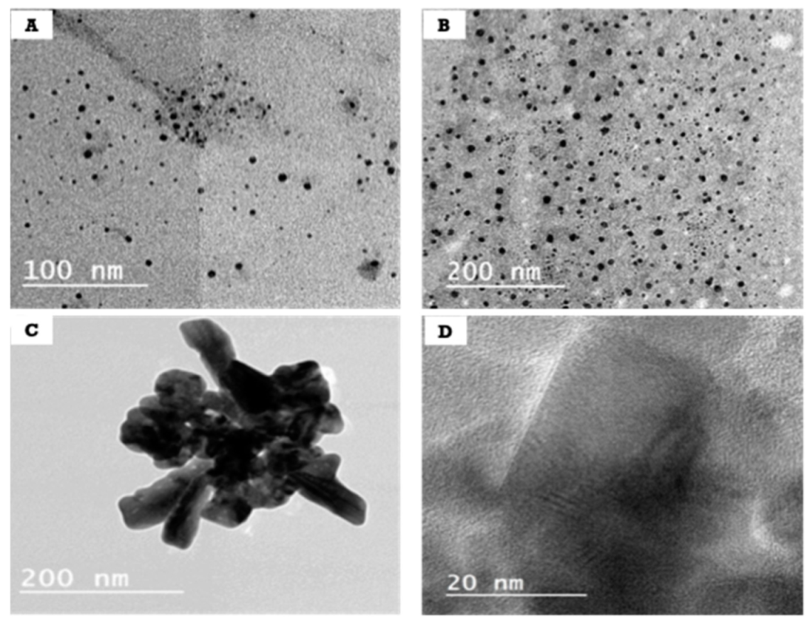Polymers 14 02168 g003