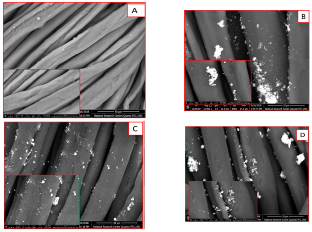 Polymers 14 02168 g006