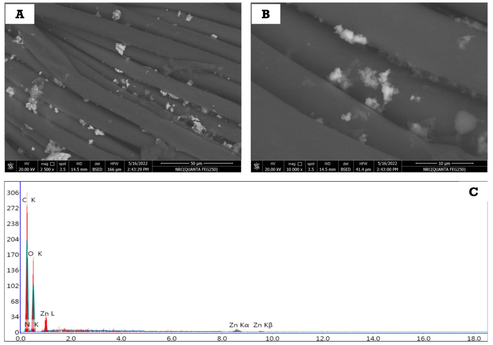 Polymers 14 02168 g007
