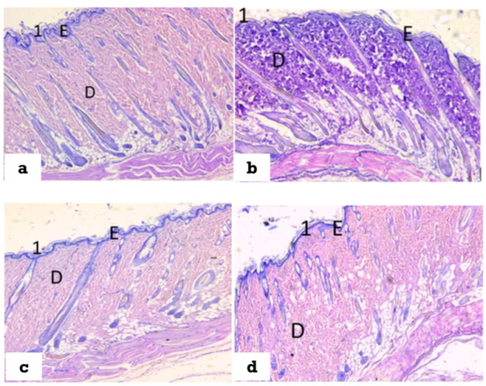 Polymers 14 02168 g010