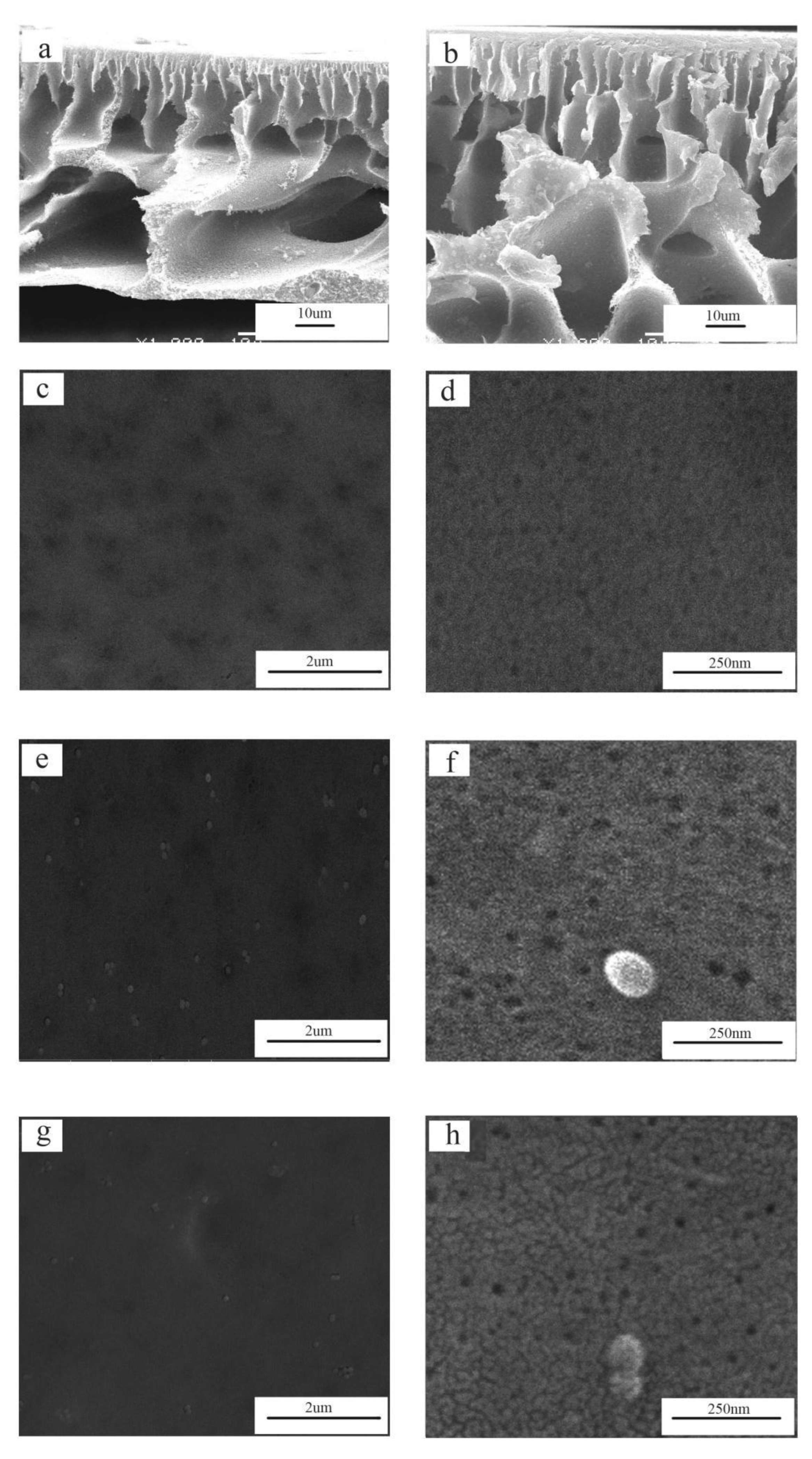 Polymers 14 02169 g005