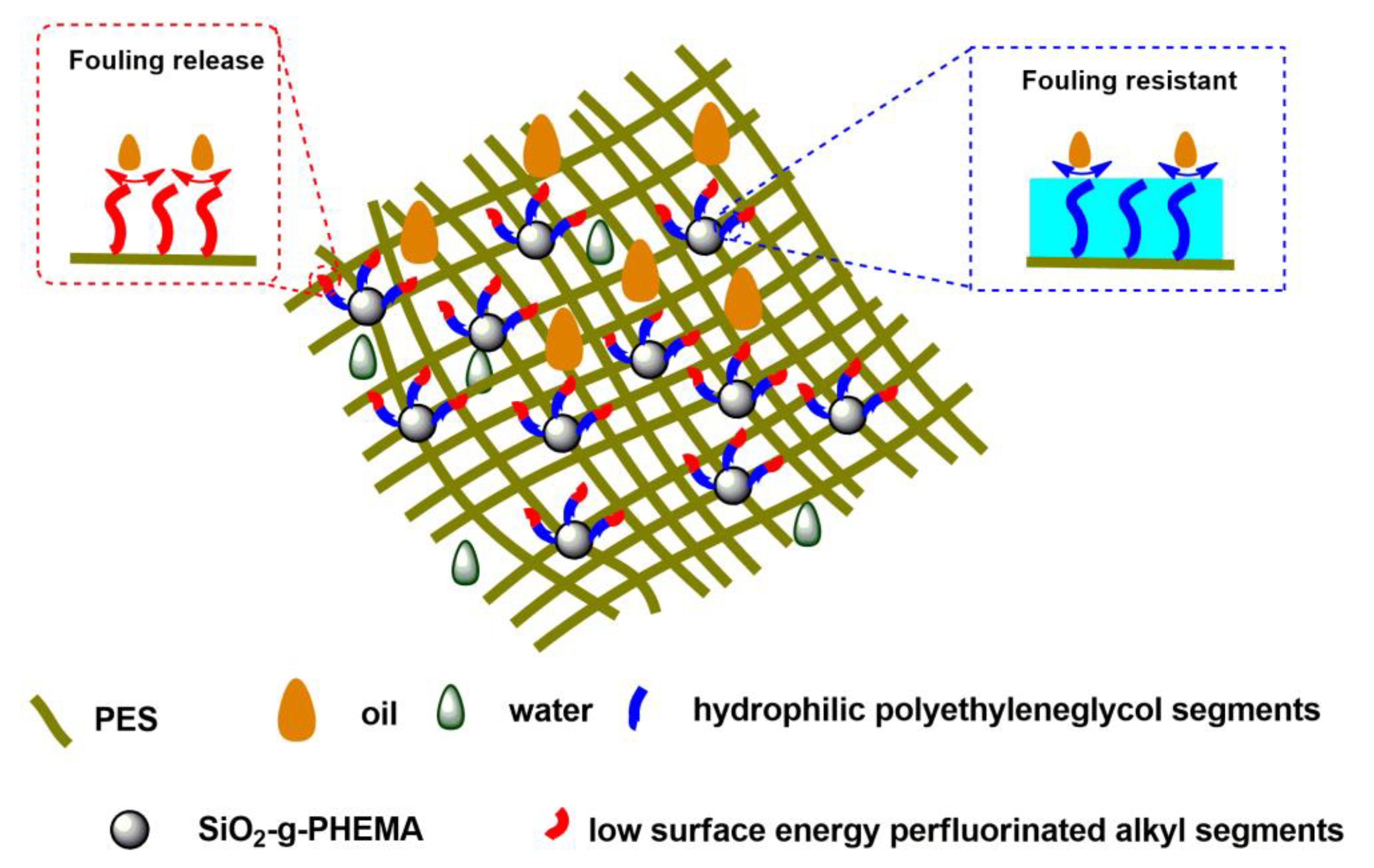 Polymers 14 02169 g009