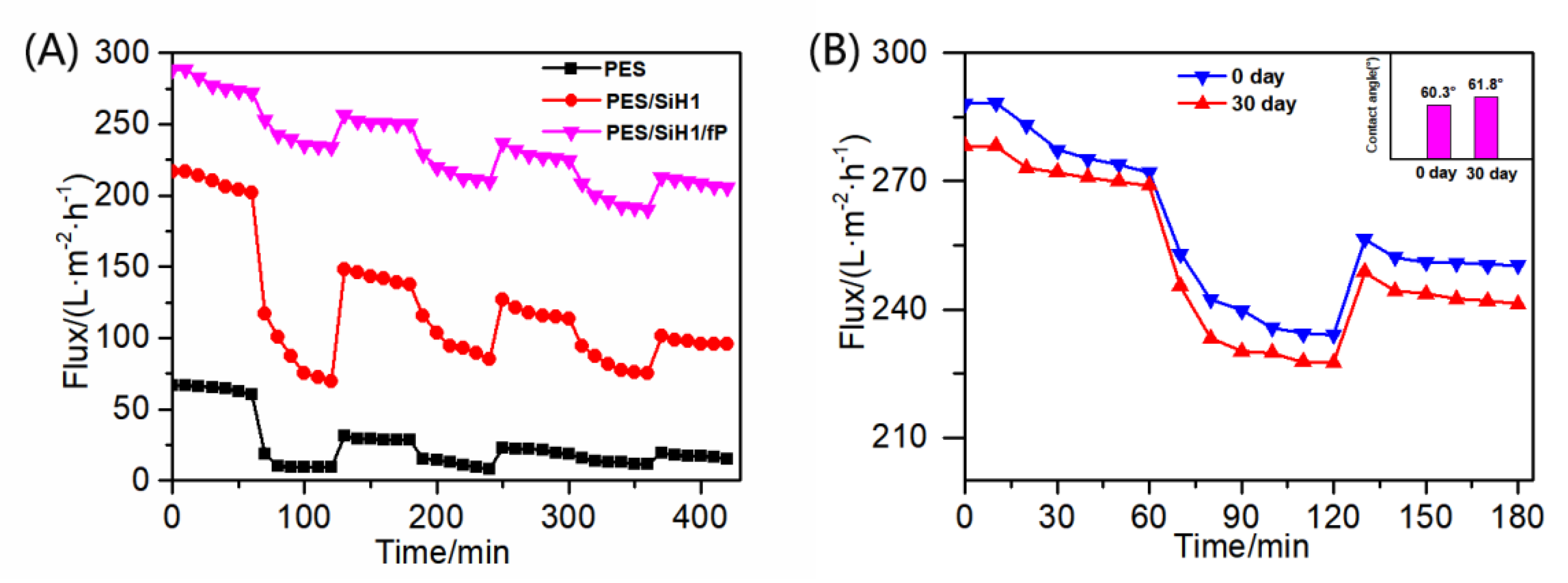 Polymers 14 02169 g010