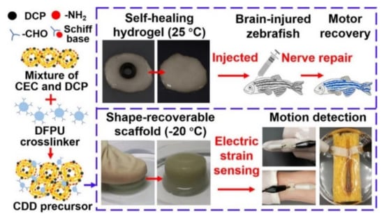 Polymers 14 02184 g007 550