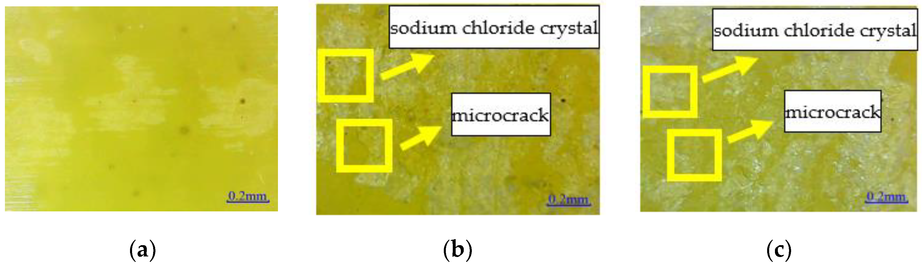 Polymers 14 02190 g012