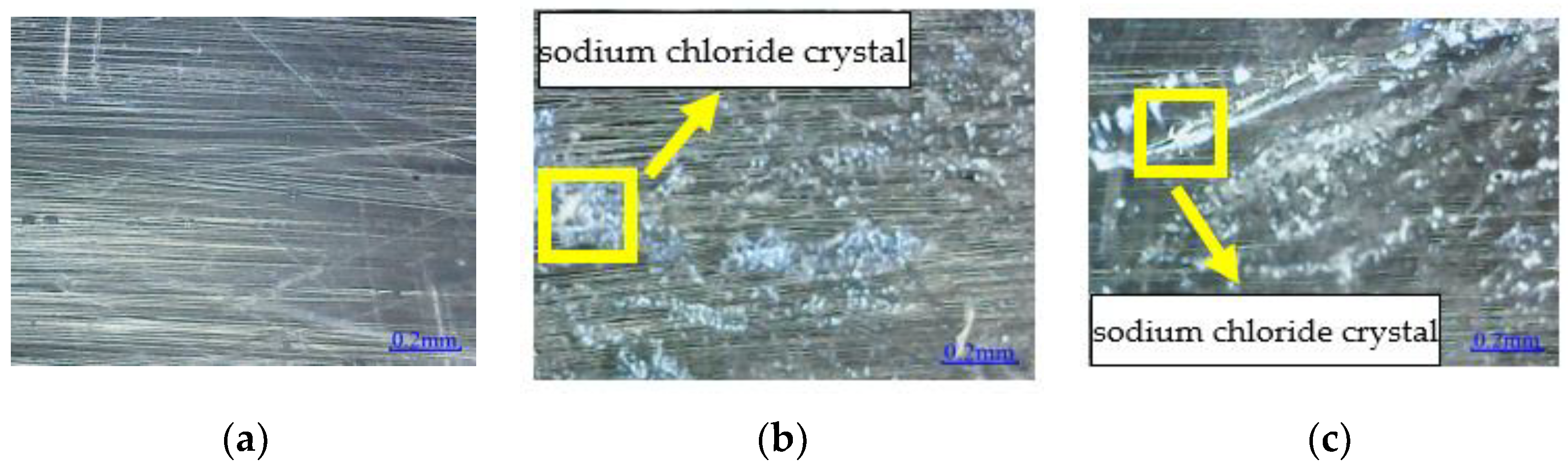 Polymers 14 02190 g013