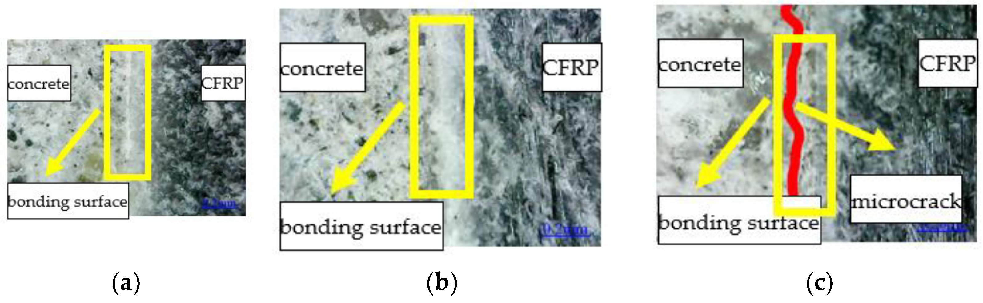 Polymers 14 02190 g020