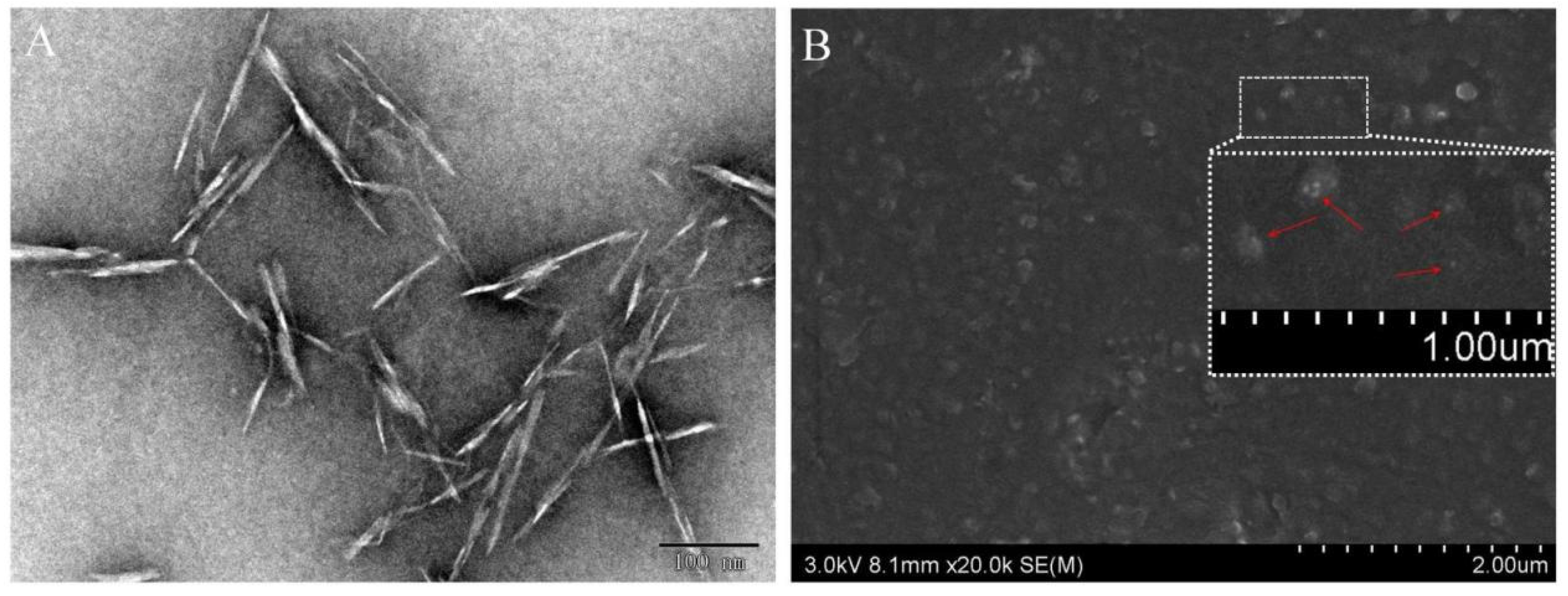 Polymers 14 02197 g004