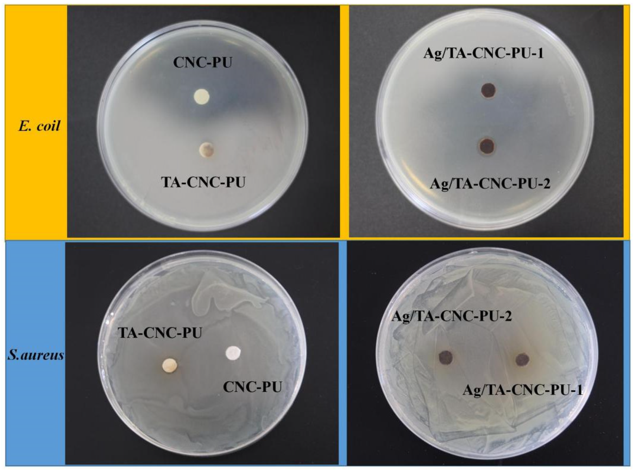 Polymers 14 02197 g007