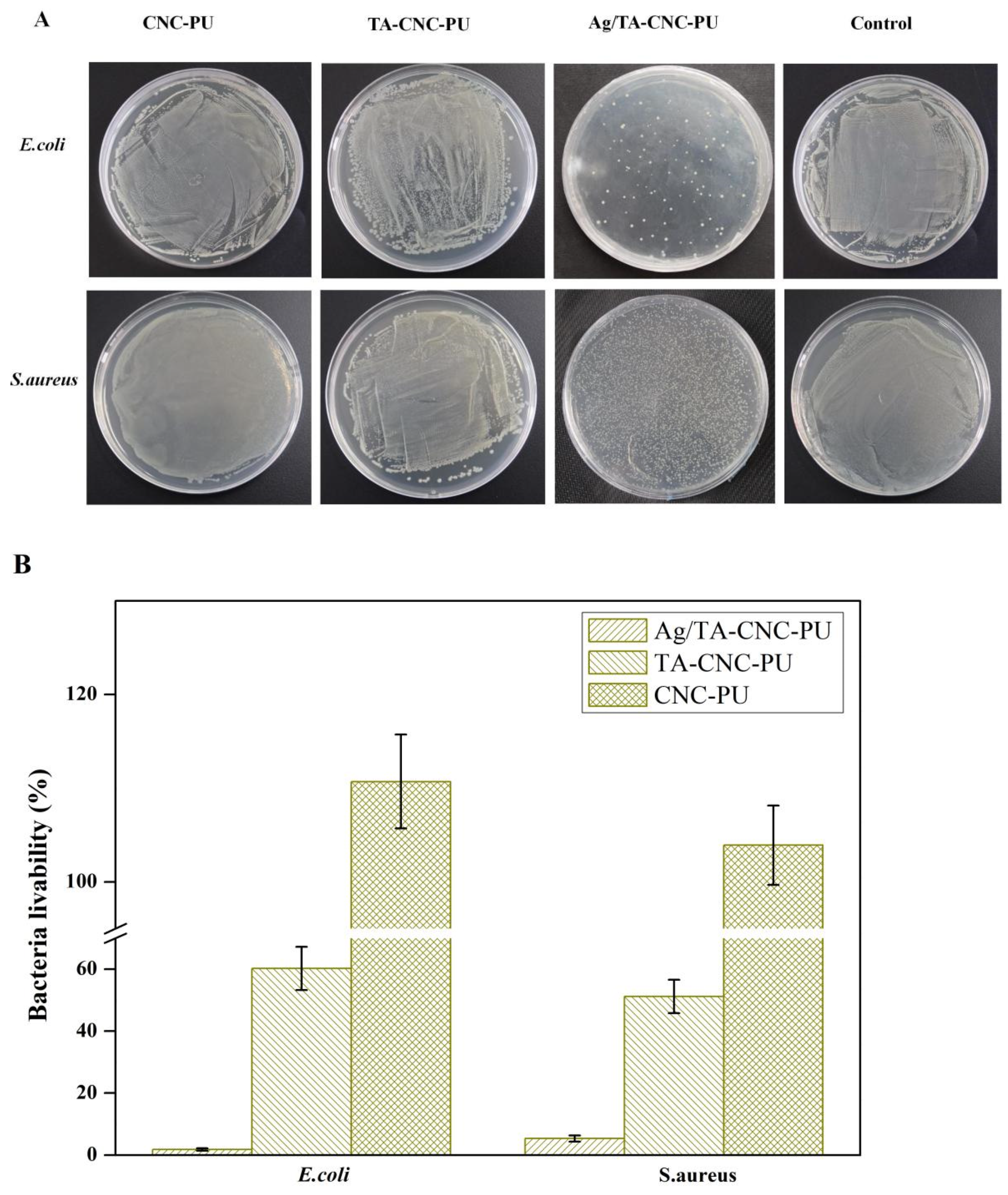 Polymers 14 02197 g008