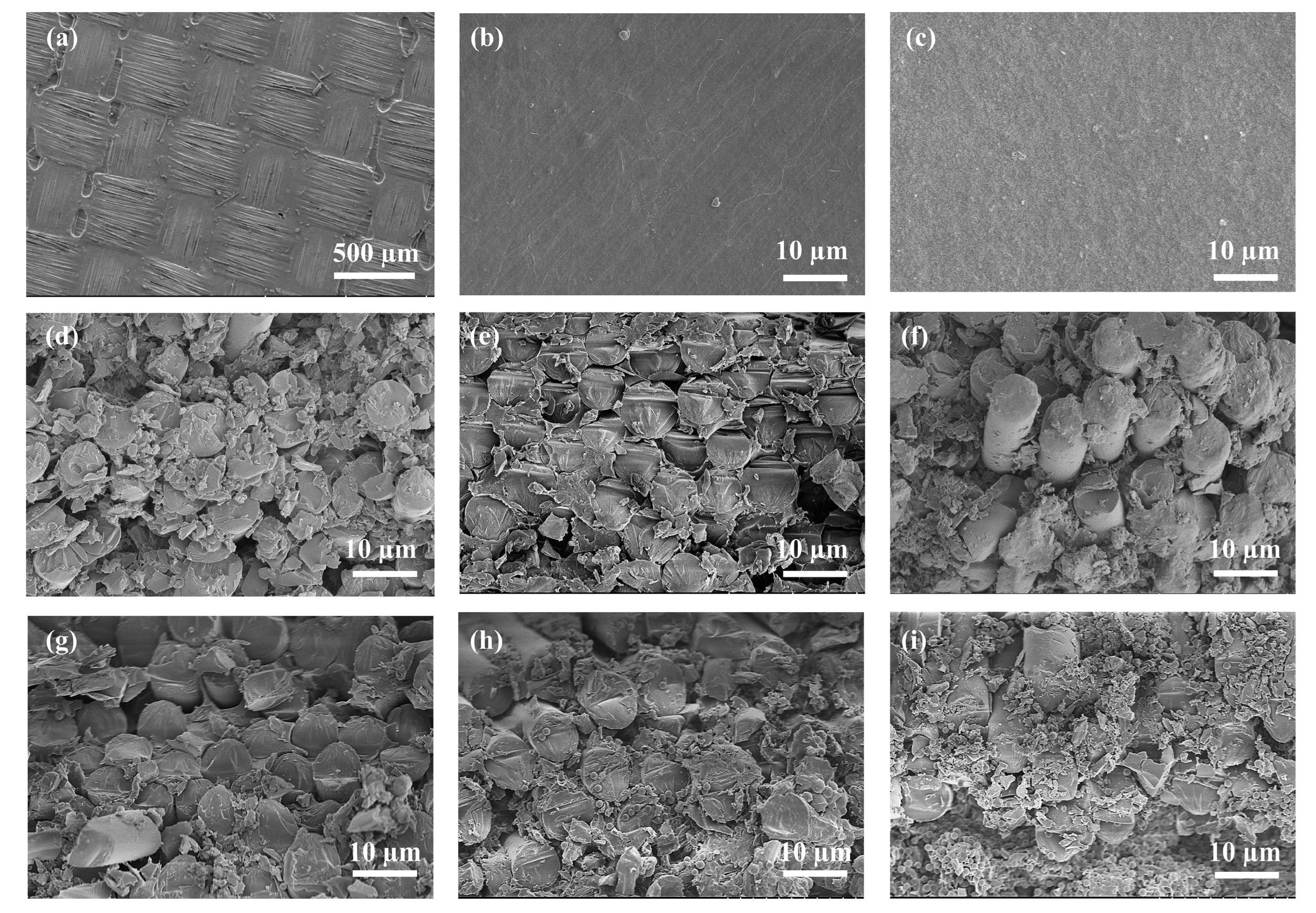 Polymers 14 02200 g003 Polymers 14 02200 g003
