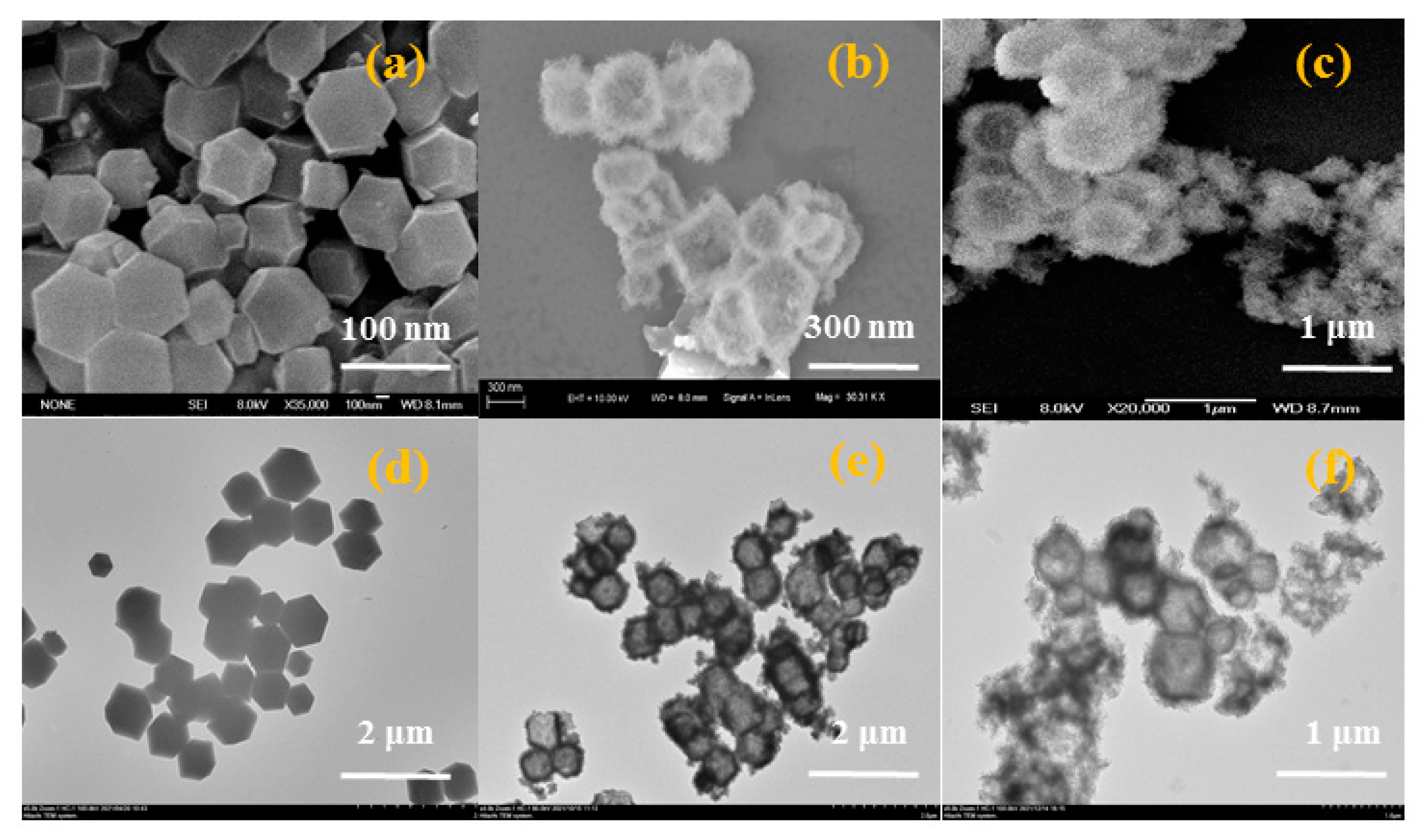 Polymers 14 02204 g004