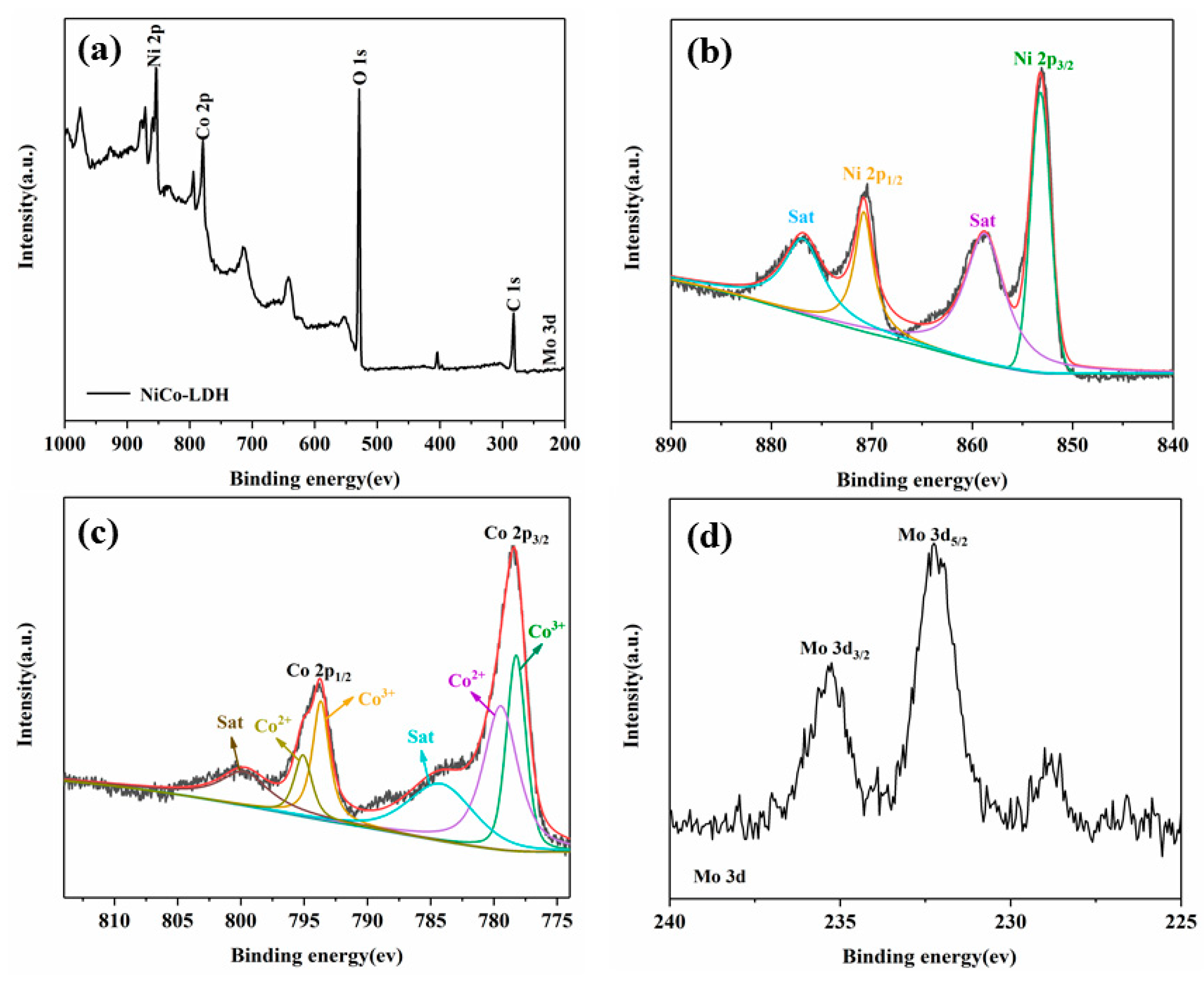Polymers 14 02204 g005