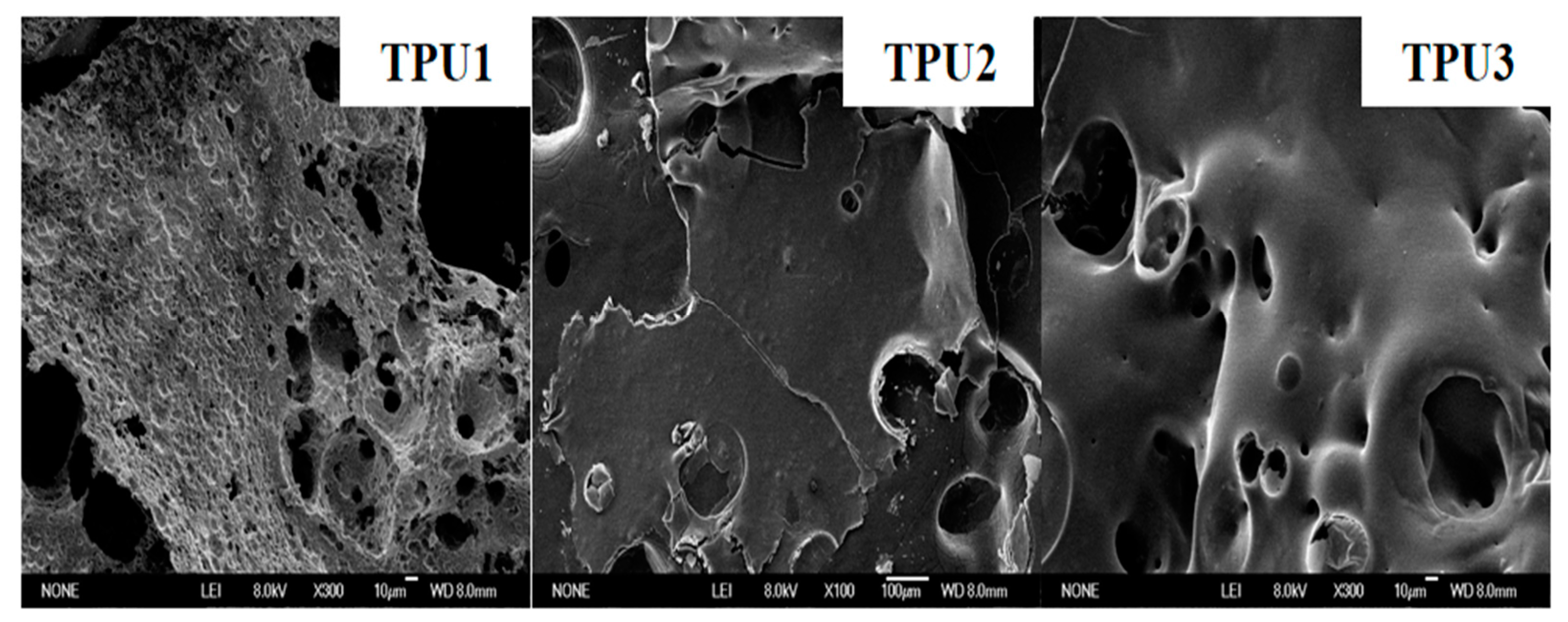 Polymers 14 02204 g011