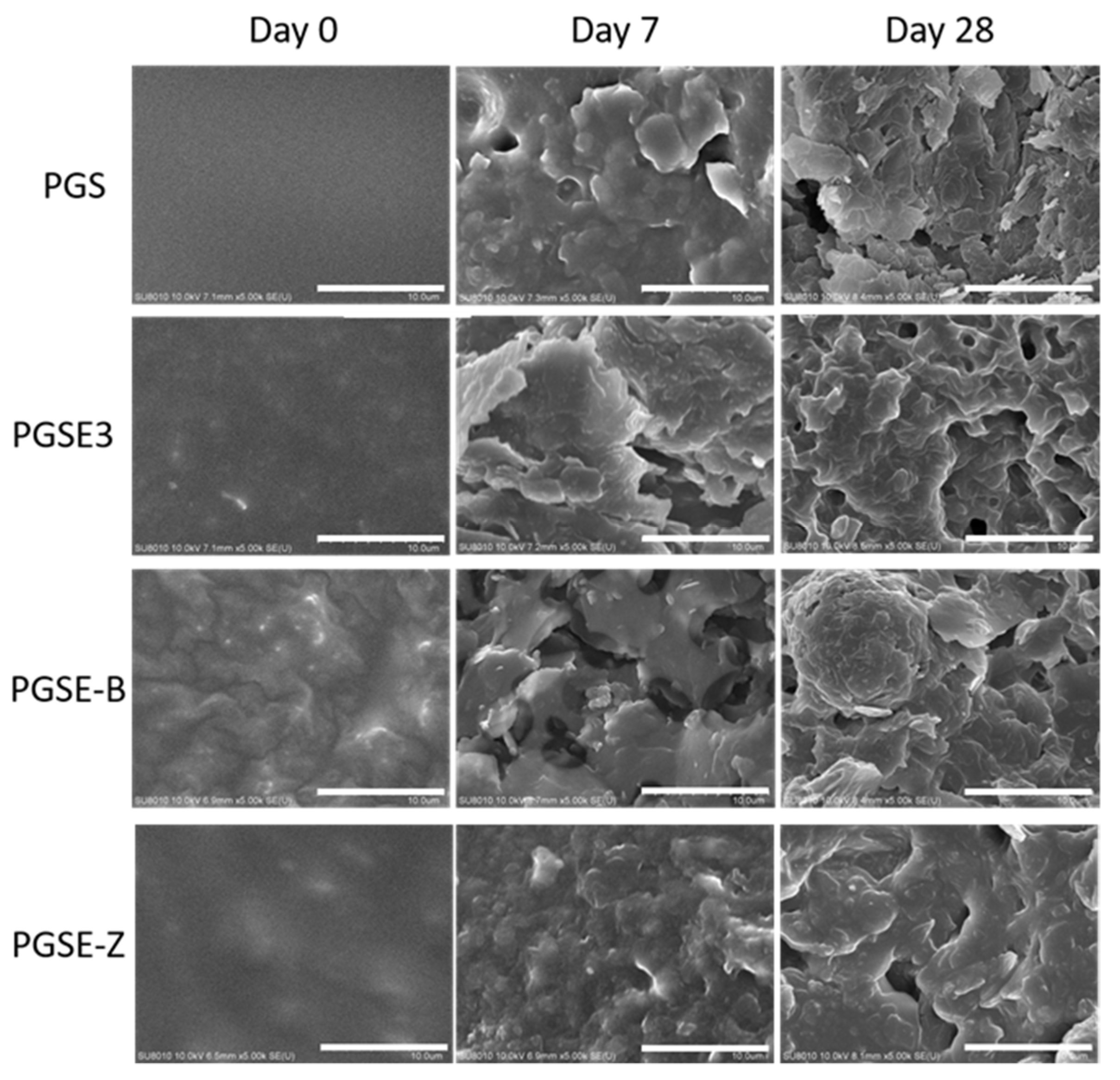 Polymers 14 02206 g008