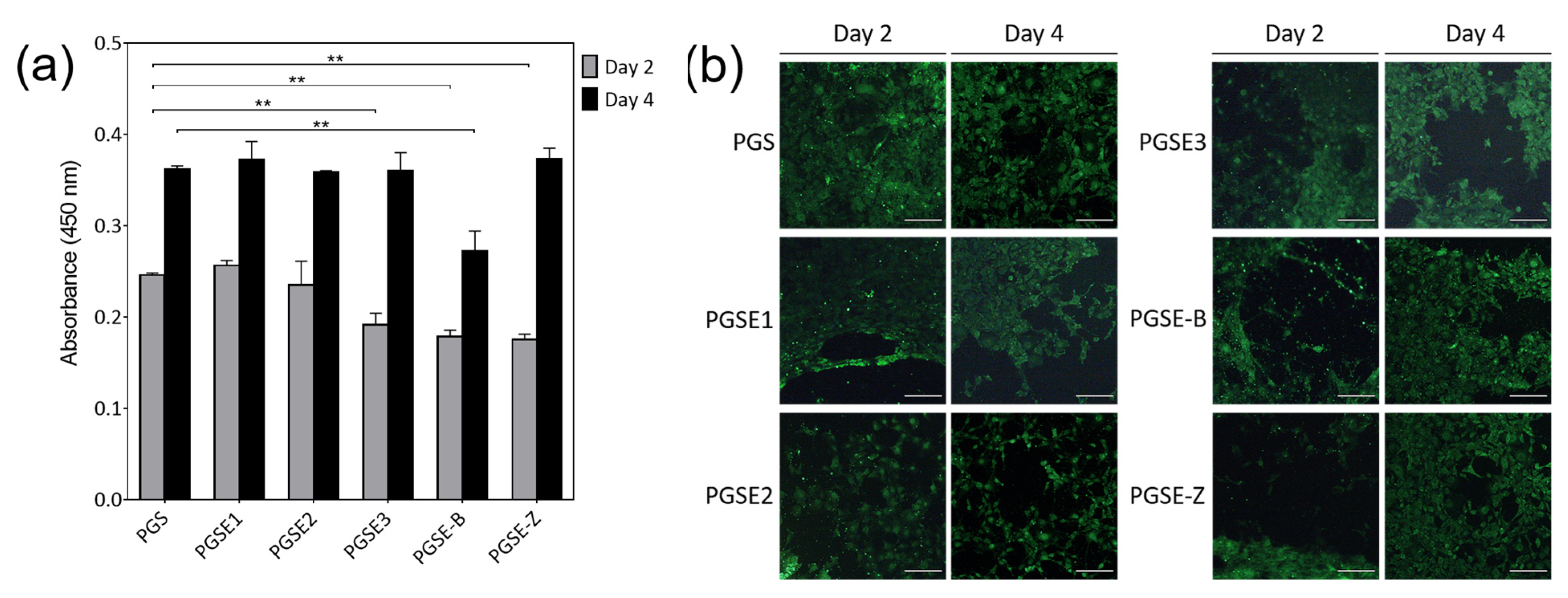 Polymers 14 02206 g009