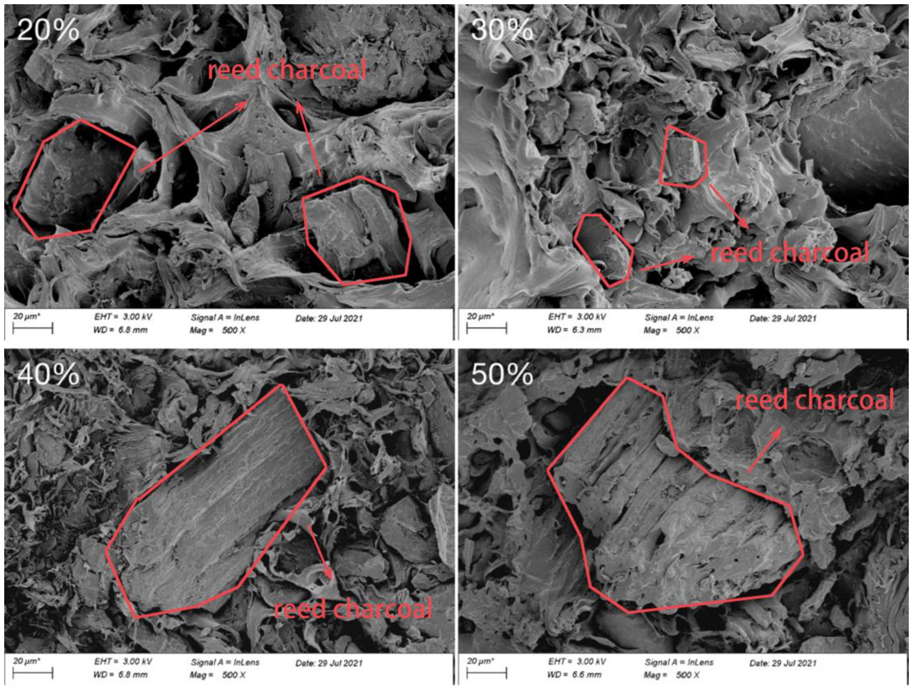 Polymers 14 02212 g005