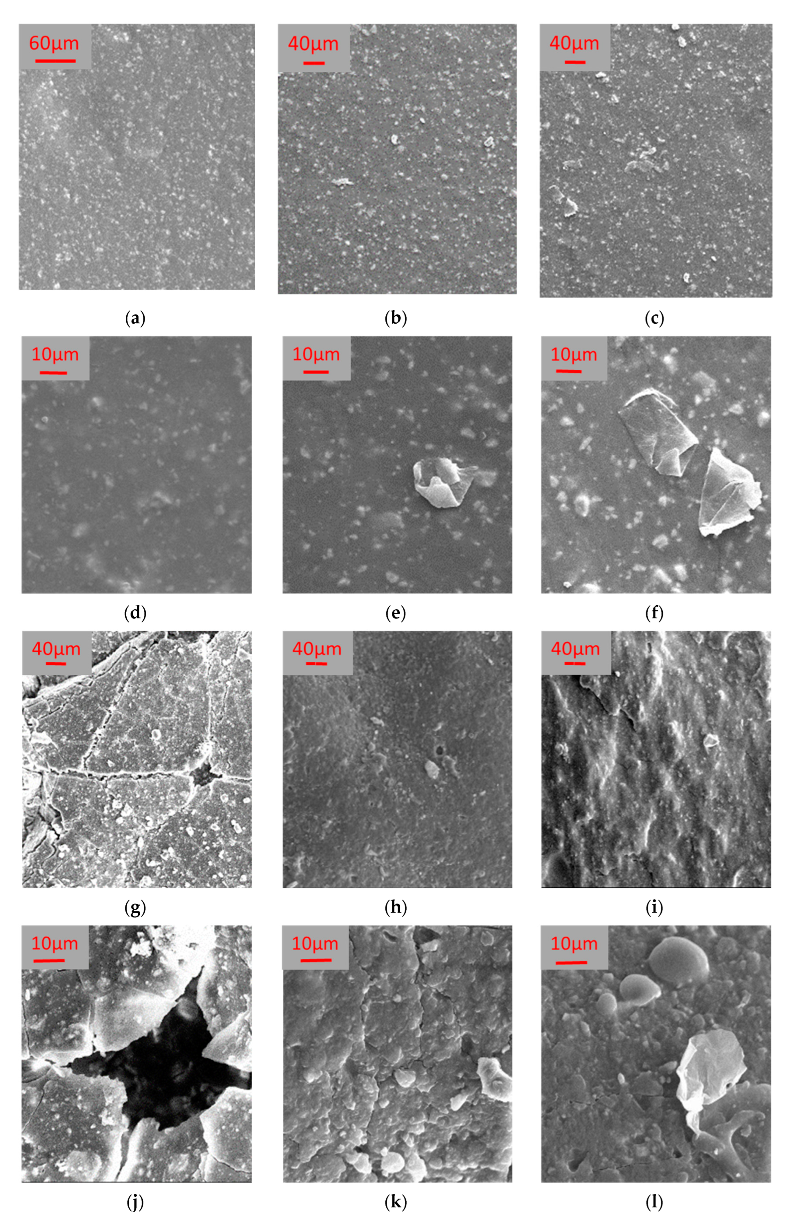 Polymers 14 02221 g004
