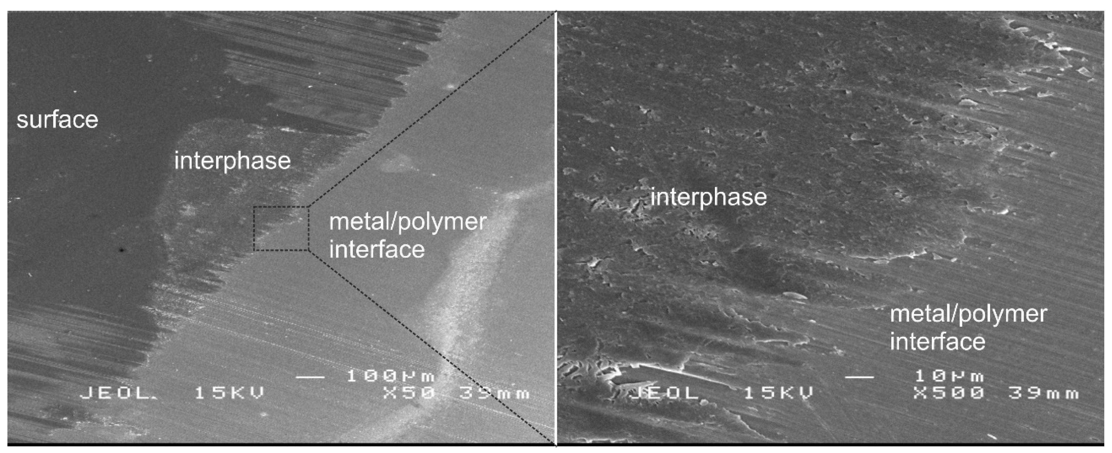 Polymers 14 02226 g005
