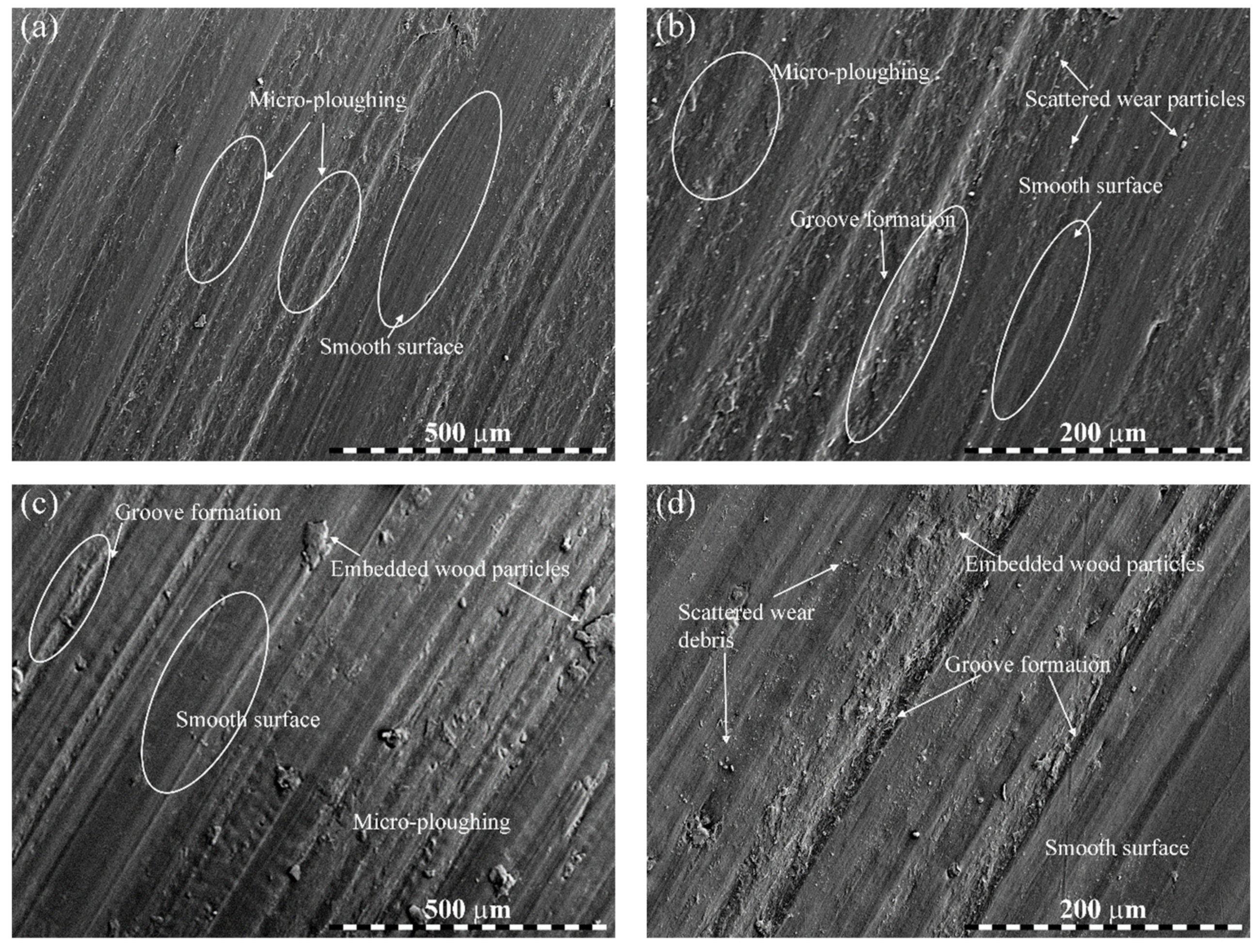 Polymers 14 02230 g008