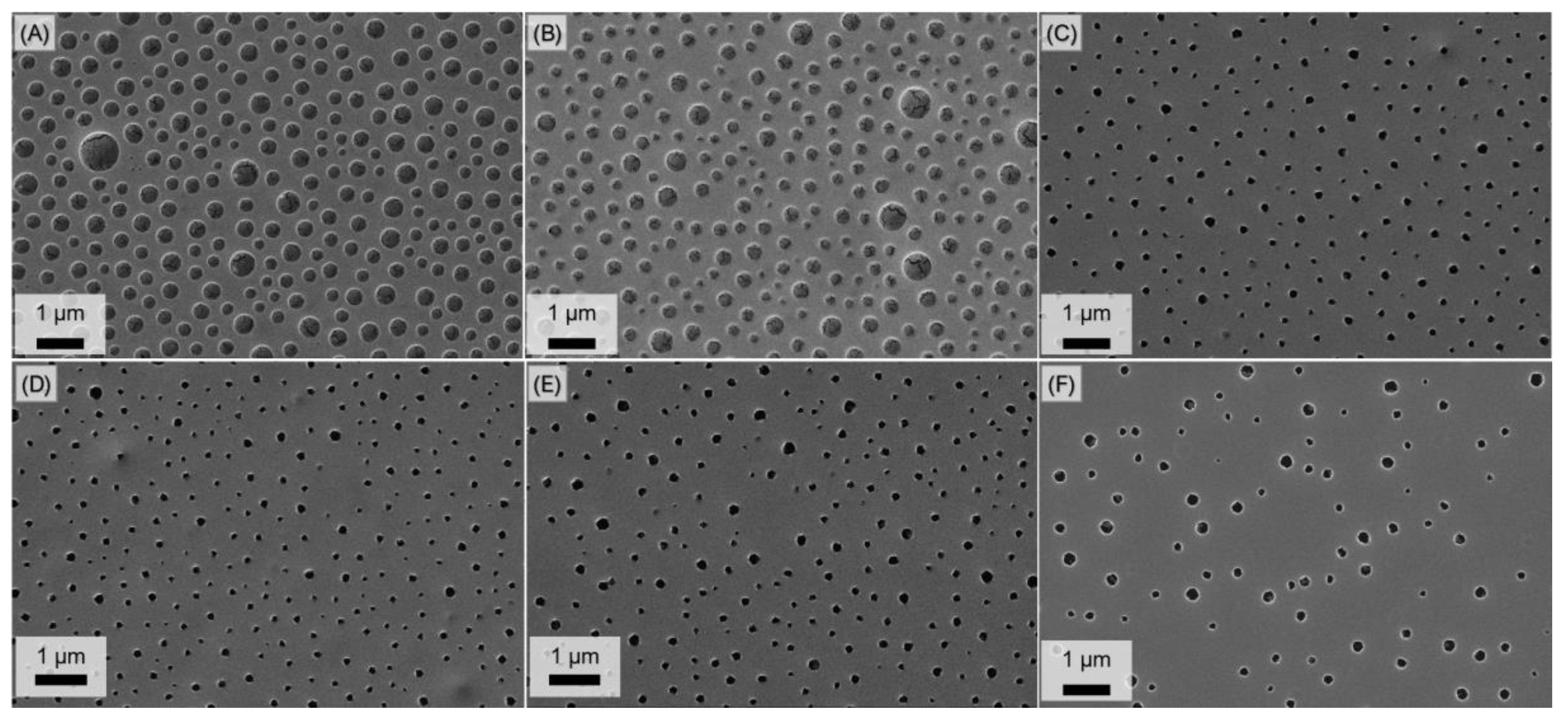 Polymers 14 02231 g002