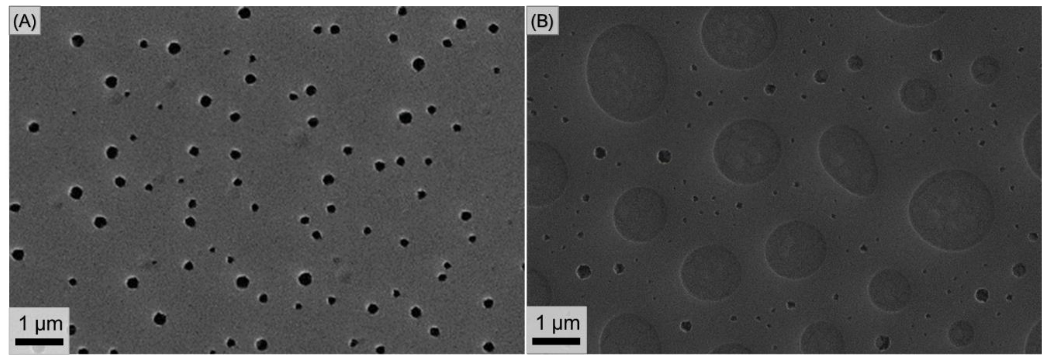 Polymers 14 02231 g003