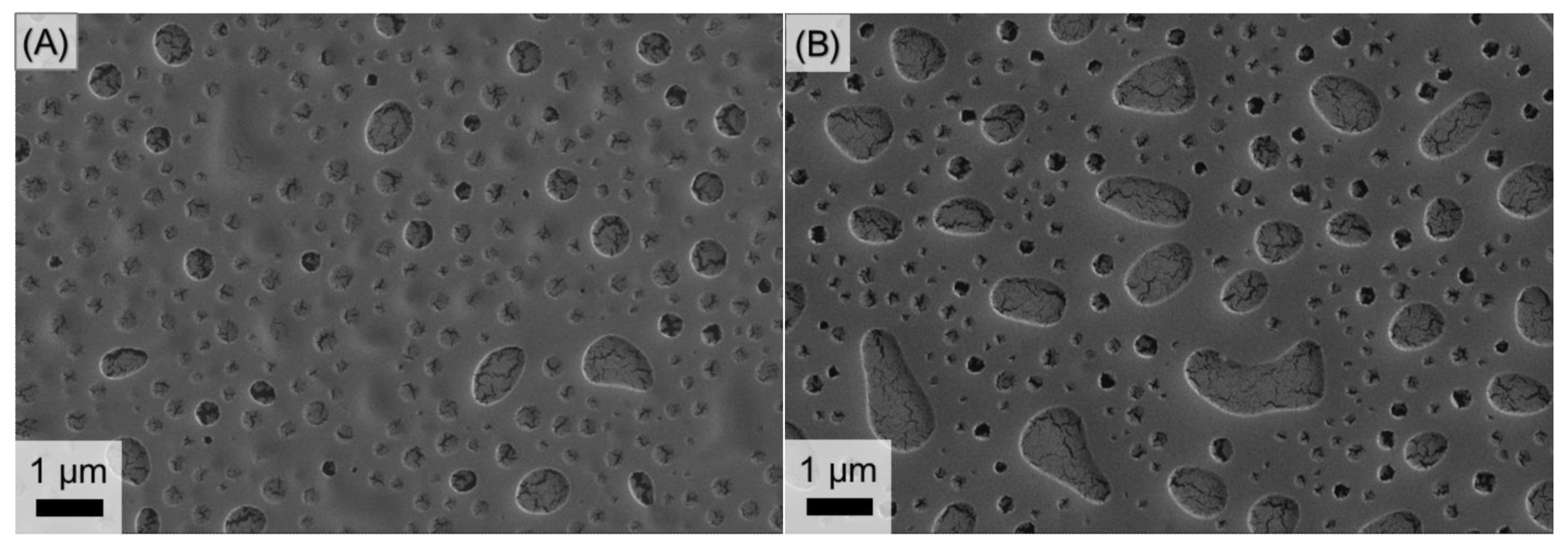 Polymers 14 02231 g004
