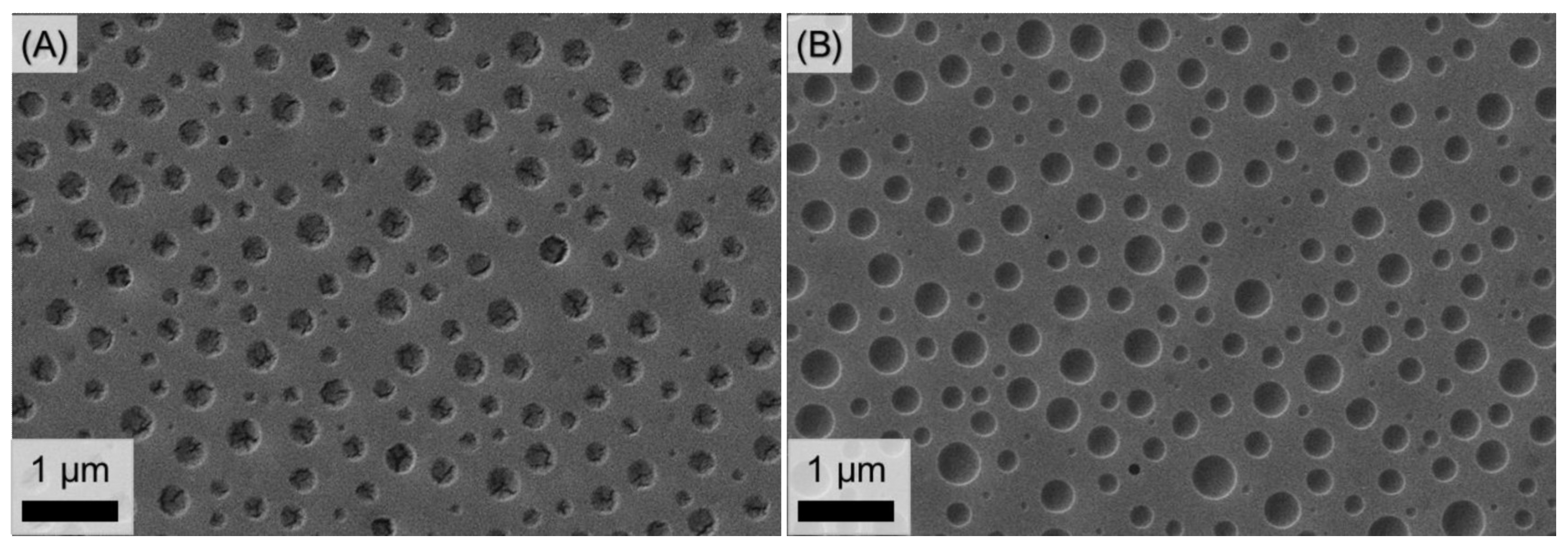 Polymers 14 02231 g005
