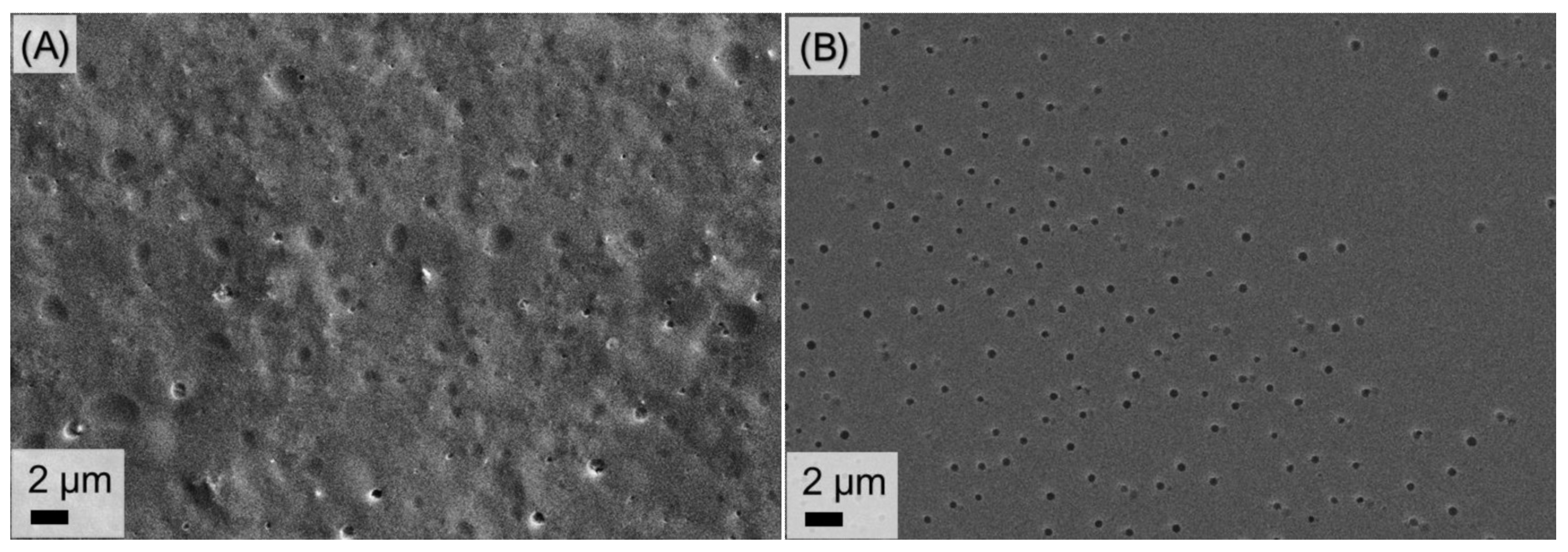 Polymers 14 02231 g008