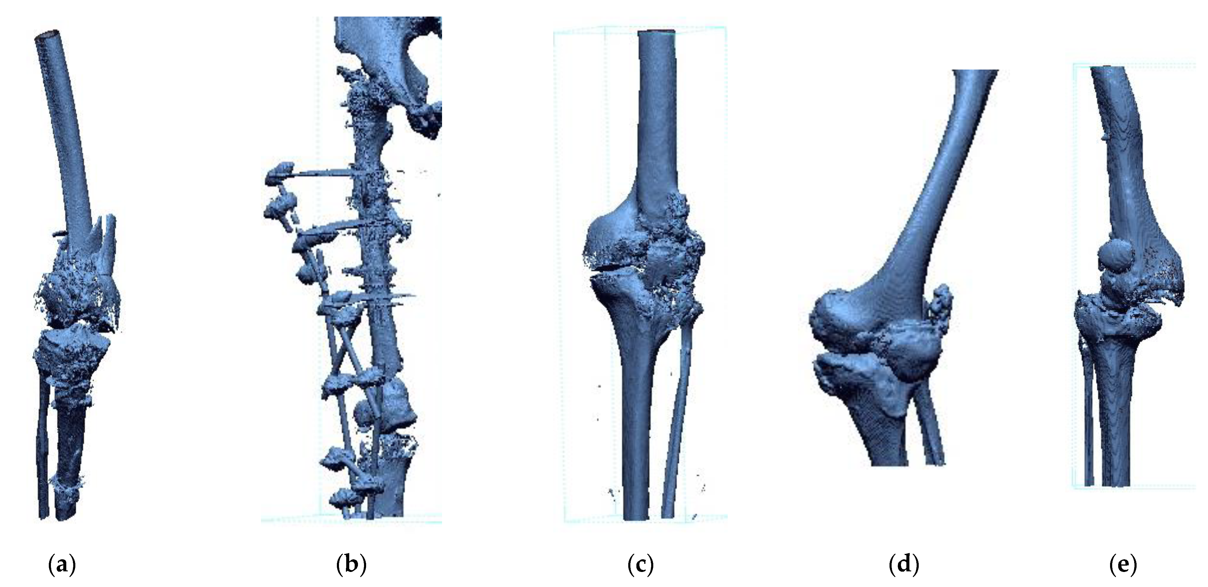 Polymers 14 02236 g002