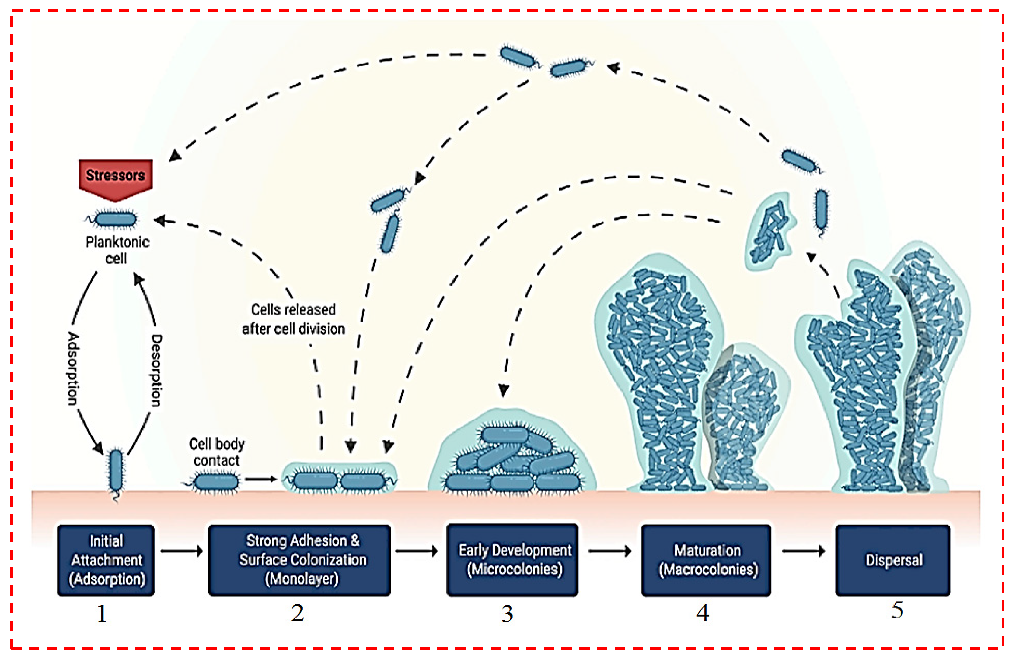 Polymers 14 02238 g001
