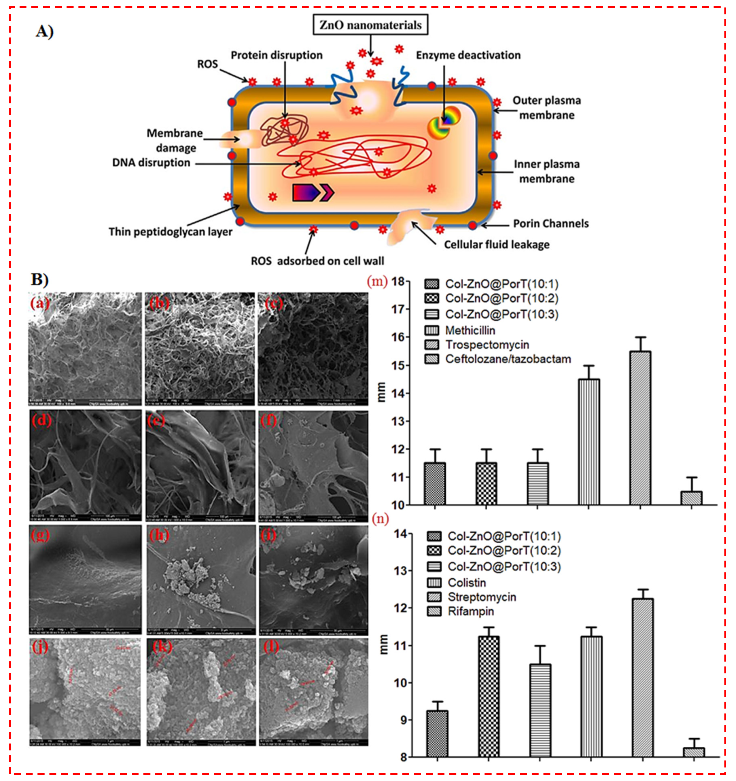 Polymers 14 02238 g005