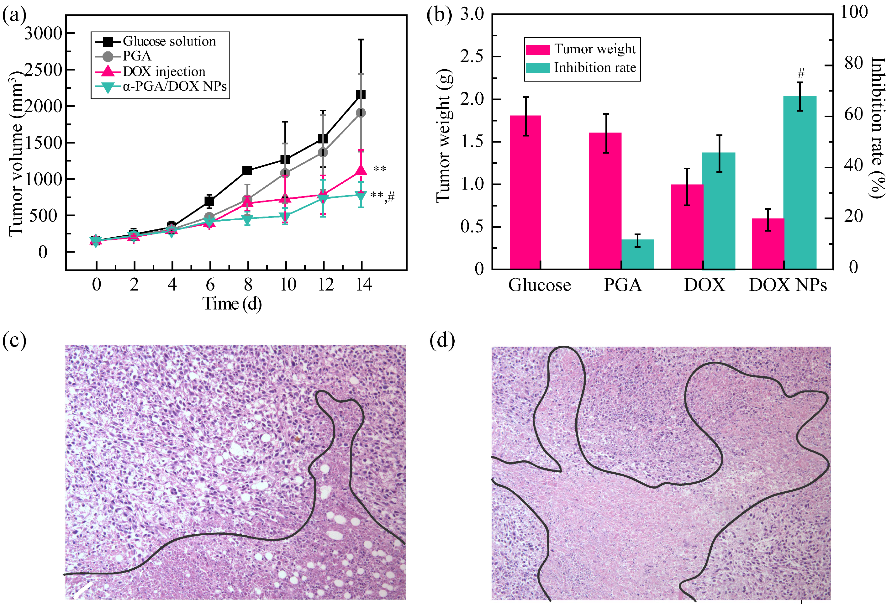 Polymers 14 02242 g006
