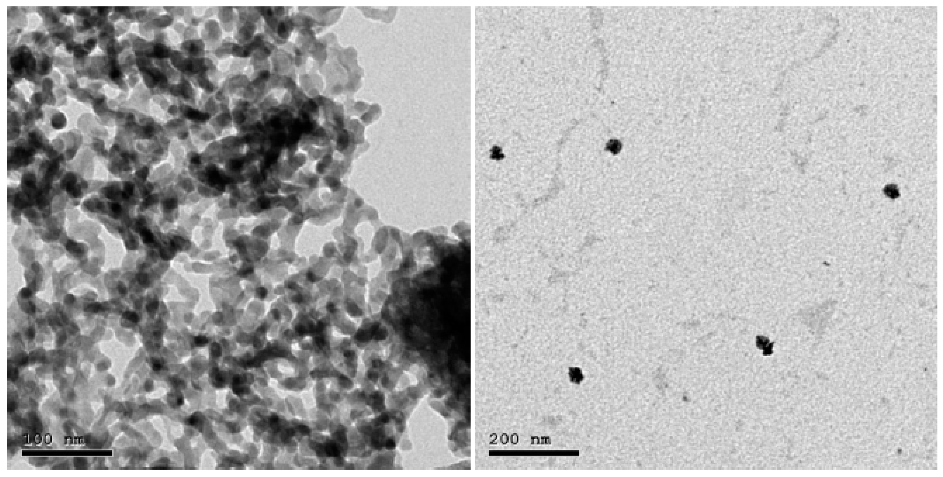 Polymers 14 02253 g002