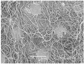 Polymers 14 02258 i007