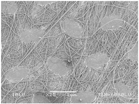 Polymers 14 02258 i009