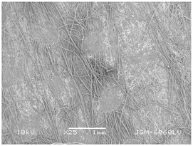 Polymers 14 02258 i011