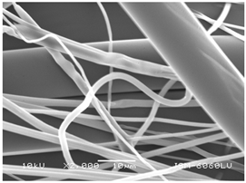 Polymers 14 02258 i012